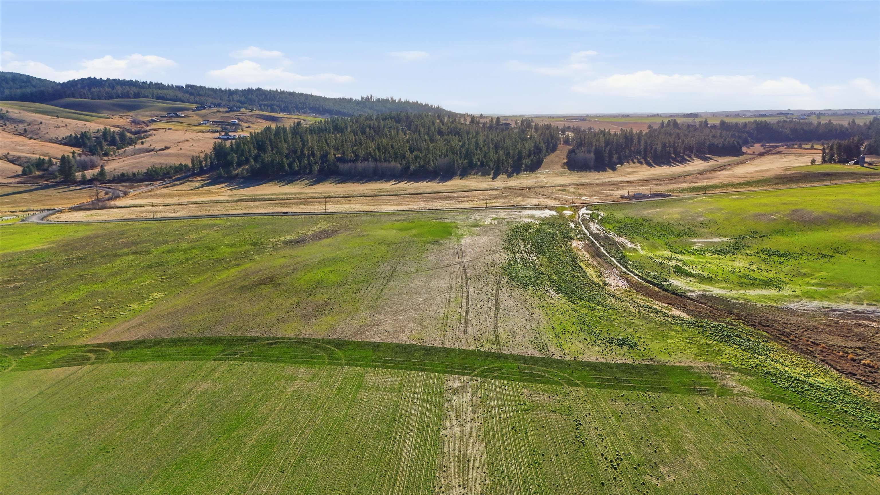 15237 East Belmont Road Mica, WA 99023 - Photo 7 of 19