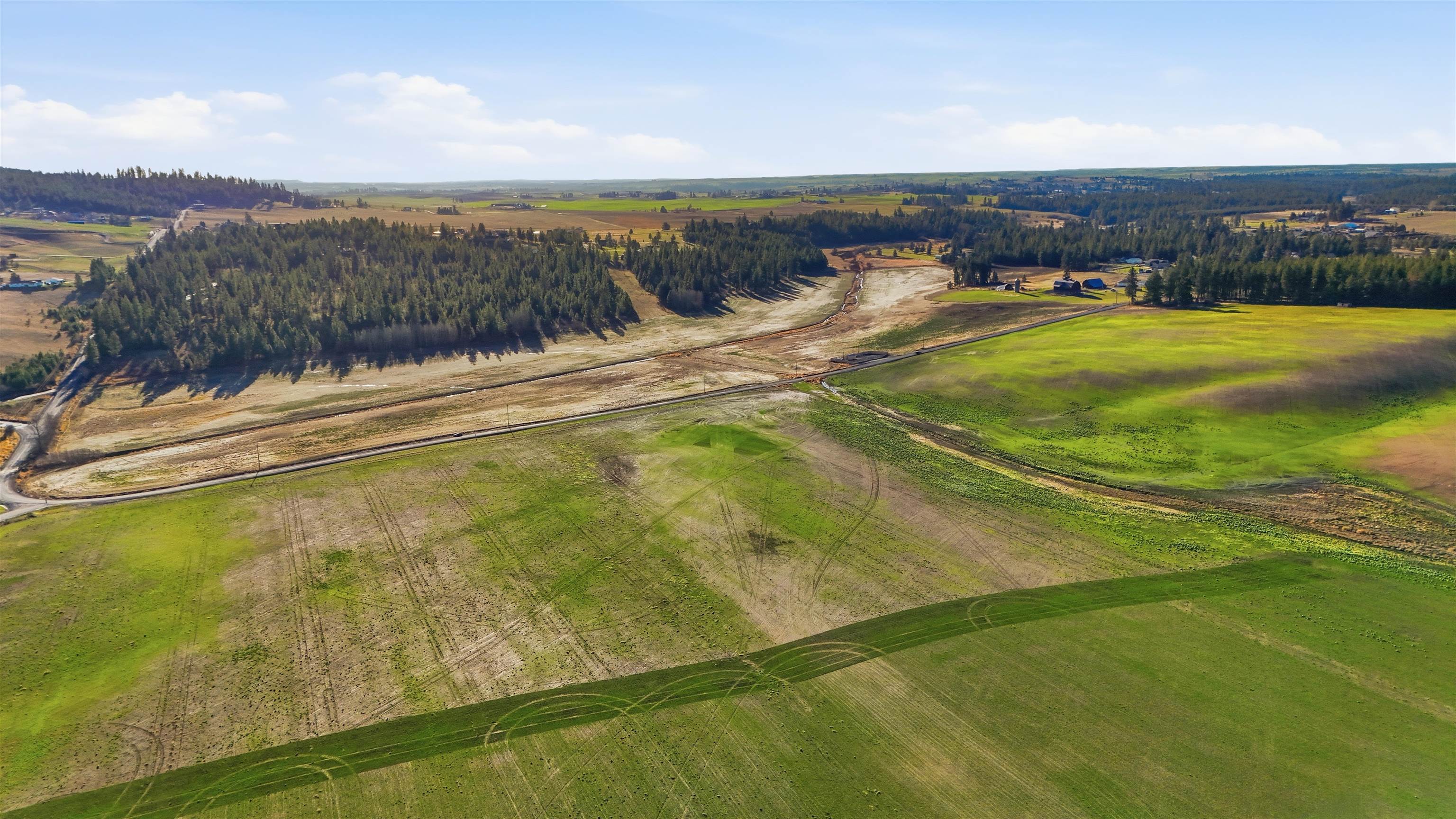 15237 East Belmont Road Mica, WA 99023 - Photo 8 of 19