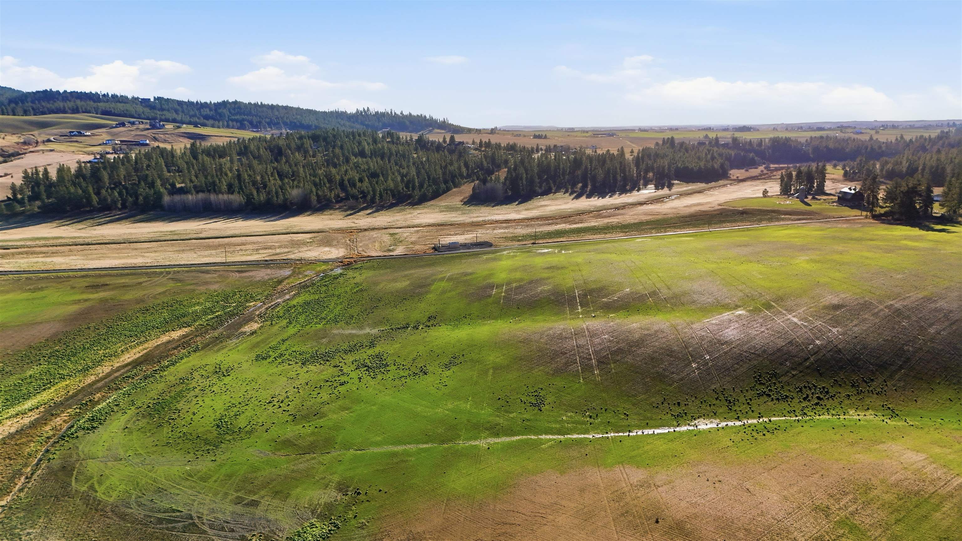 15237 East Belmont Road Mica, WA 99023 - Photo 9 of 19