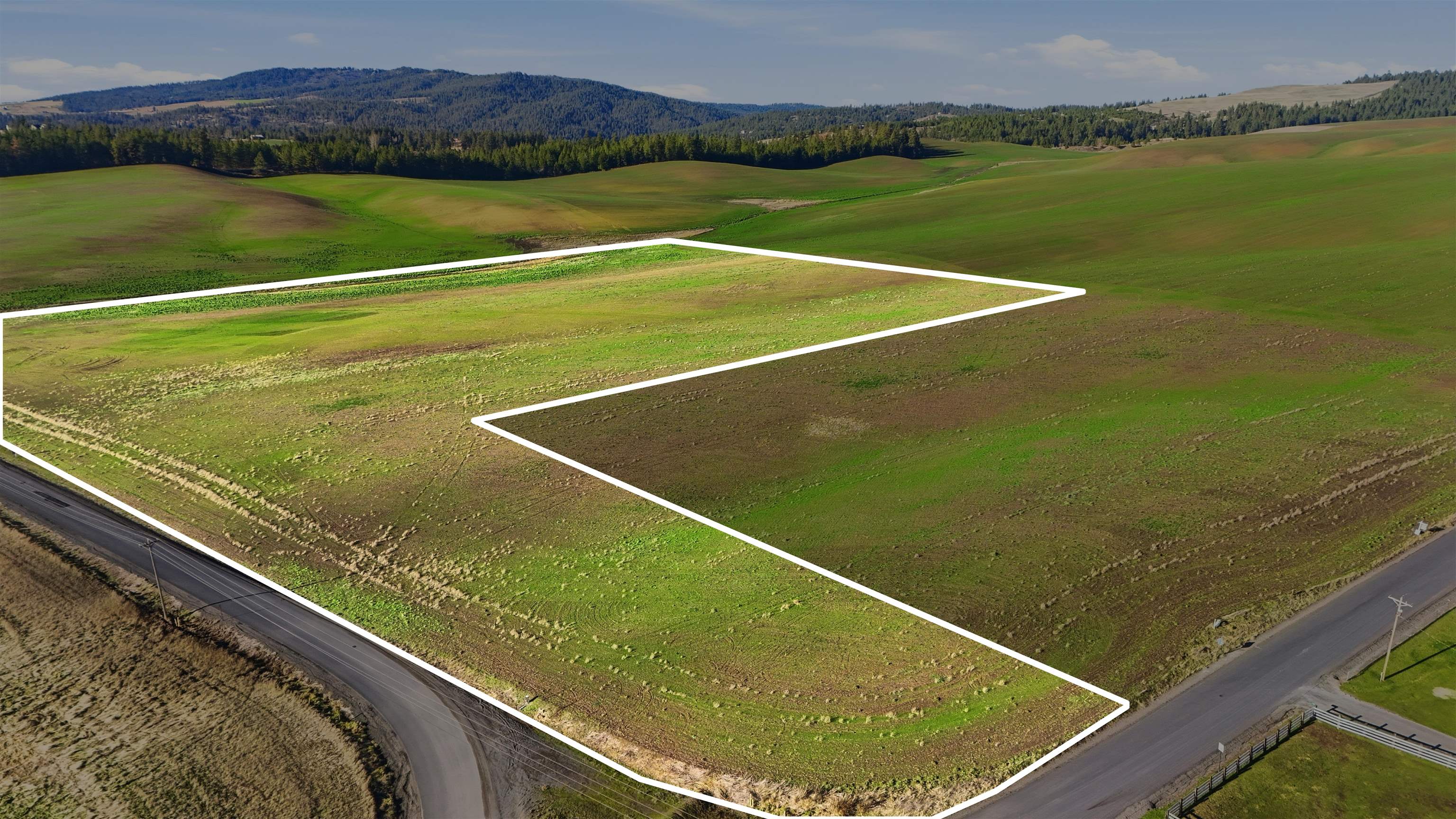 15237 East Belmont Road Mica, WA 99023 - Photo 10 of 19