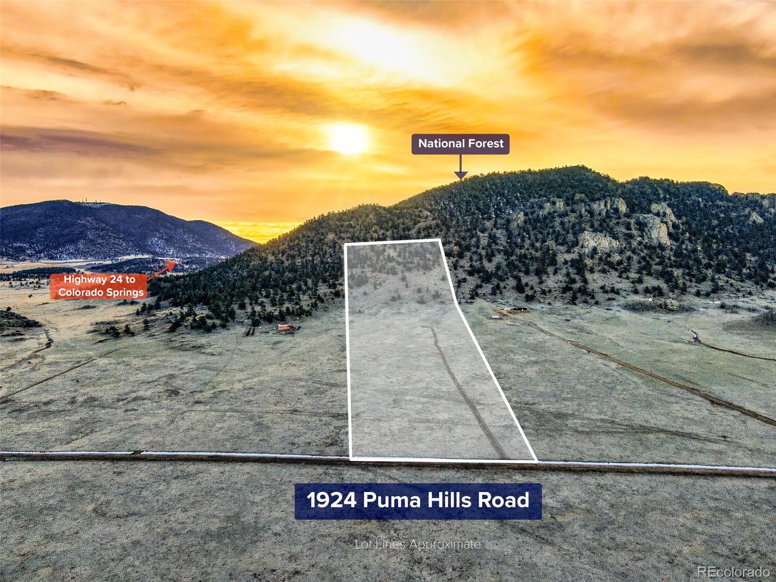 1924 Puma Hills Road Lake George, CO 80827 - Photo 5 of 22 Gallery Image 5
