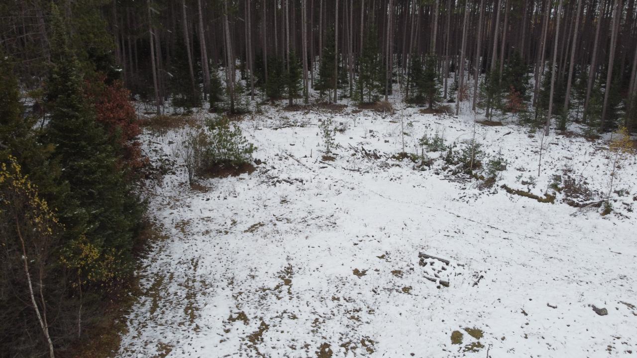 7540 Fire Tower Road Rhinelander, WI 54501 - Photo 2 of 5 Gallery Image 2