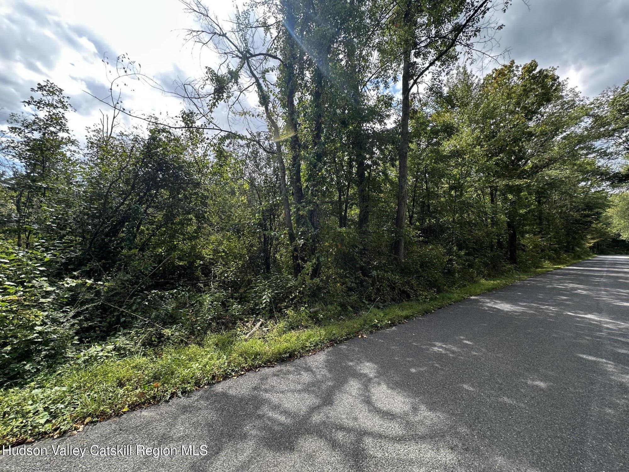 a view of a forest with trees