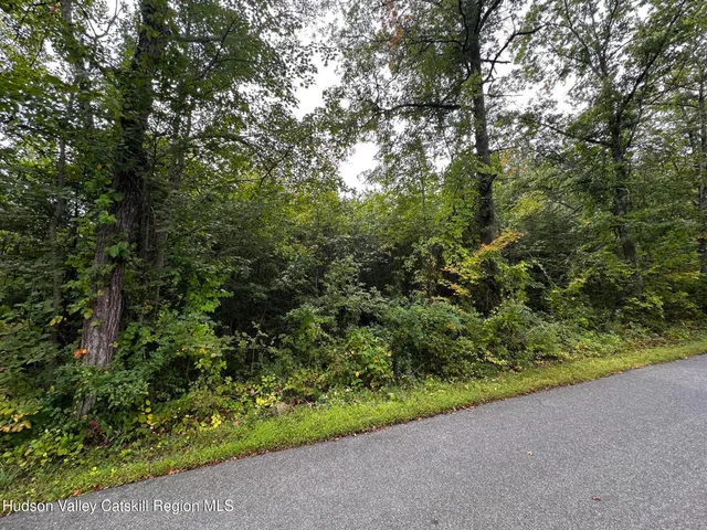 a view of a garden with plants