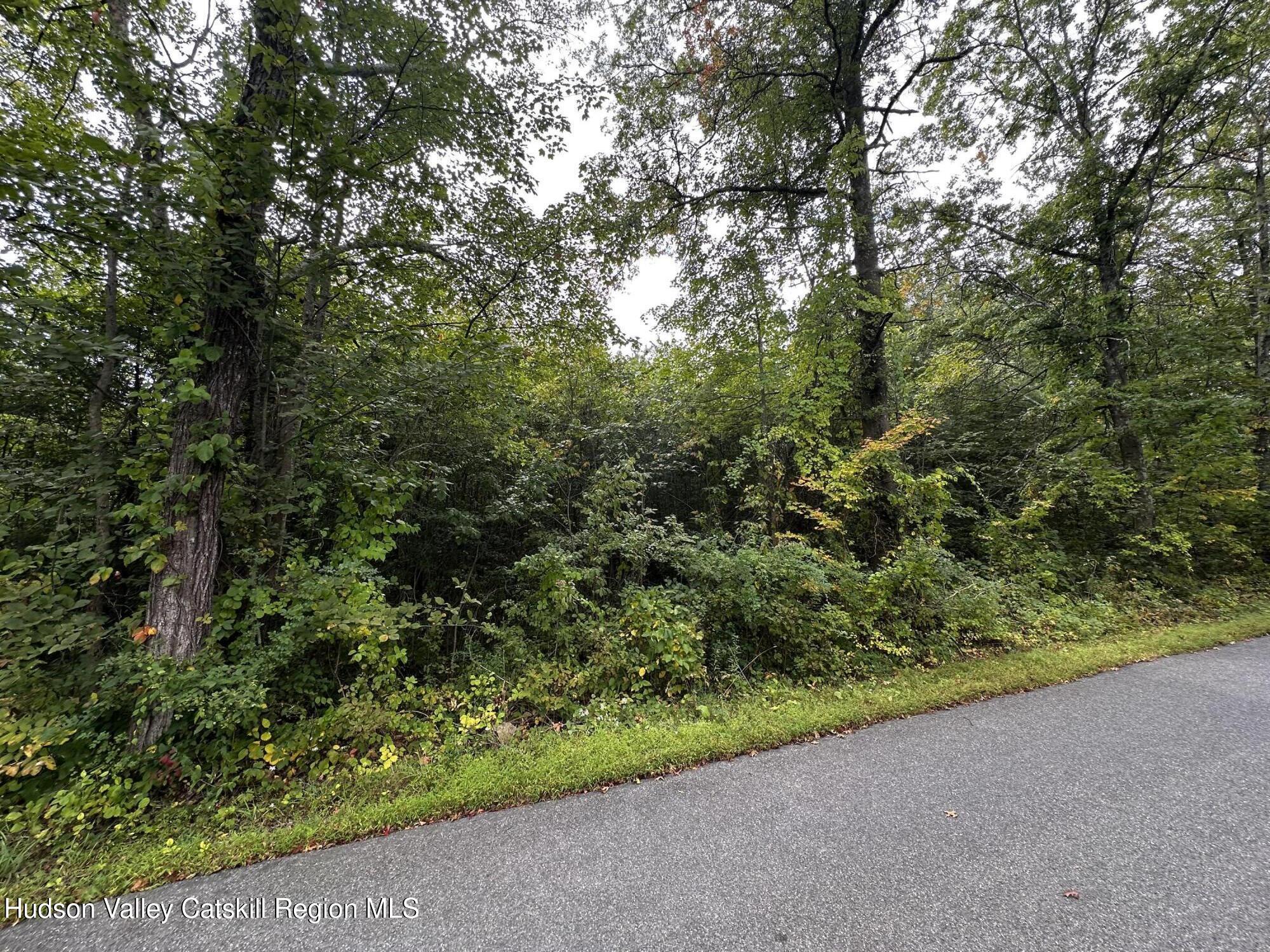0 Kelly Road Saugerties, NY 12477 - Photo 4 of 6 a view of a garden with plants