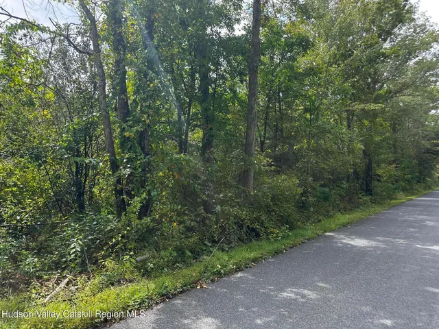 a view of a forest with trees in the background