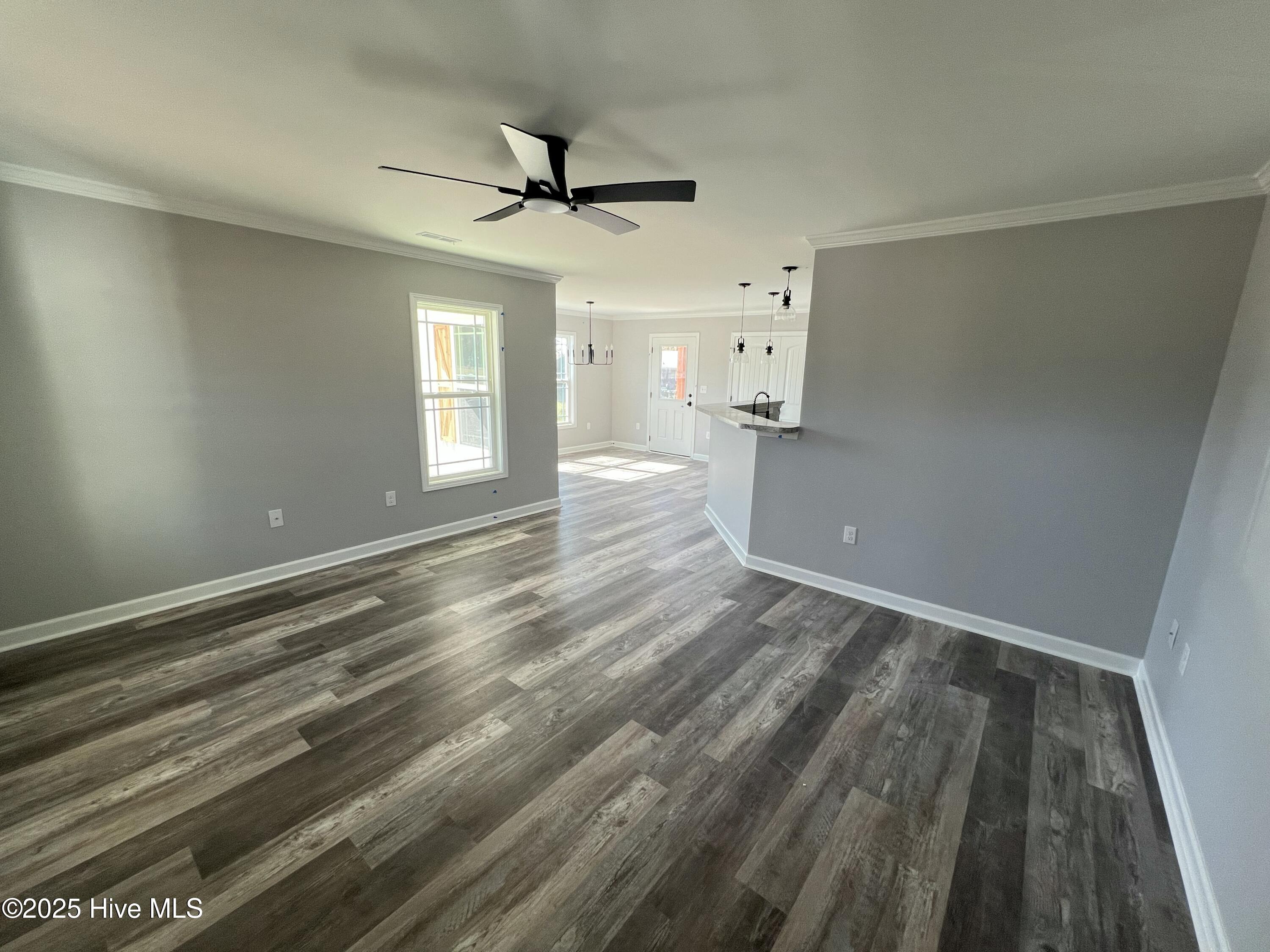 153 Hillside Street Clarkton, NC 28433 - Photo 10 of 16 IMG_4633