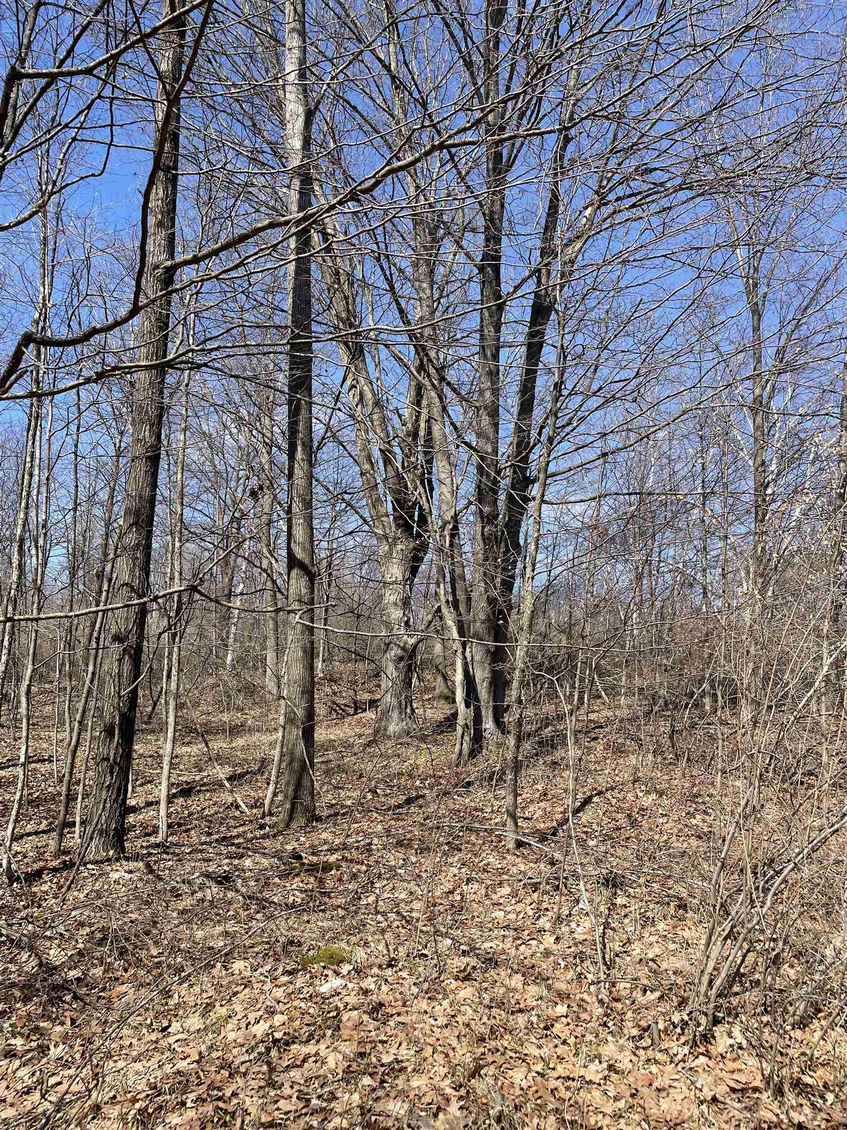Tbd Tbd Rock Roads Clare, MI 48617 - Photo 1 of 10 Gallery Image 1