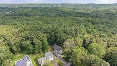 a view of a forest with a street