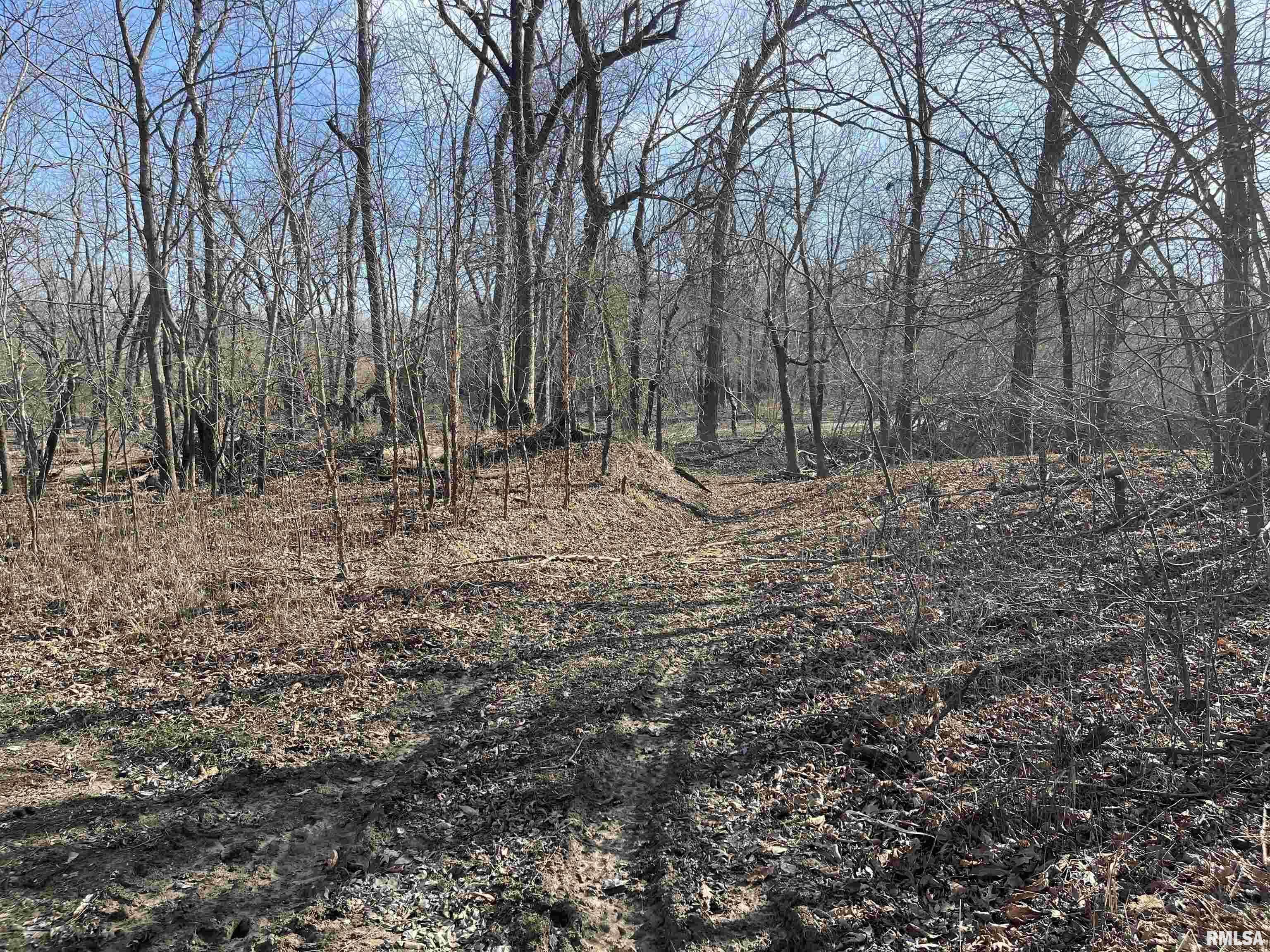 0 2600 E Road Fairfield, IL 62837 - Photo 1 of 18