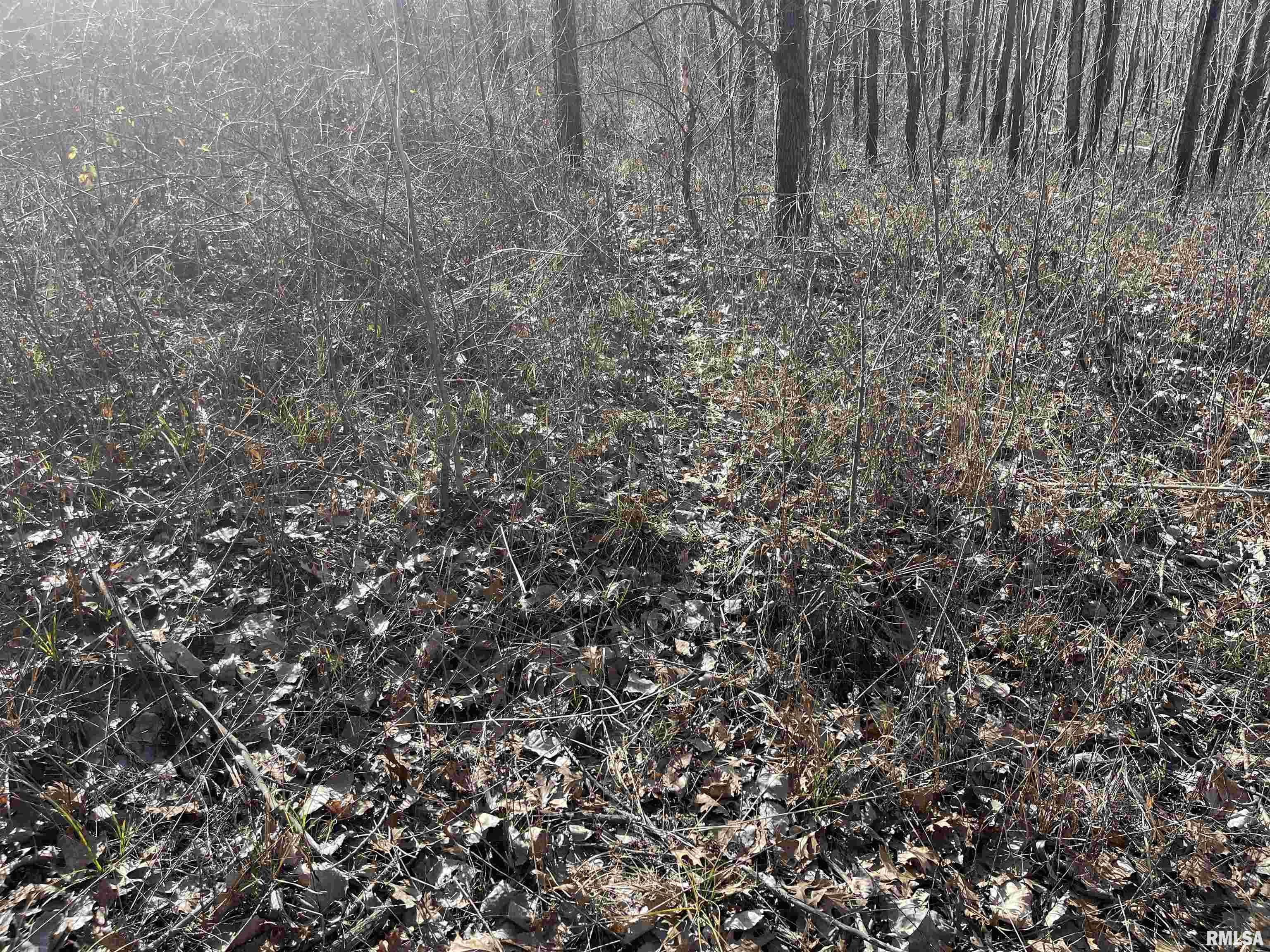 0 2600 E Road Fairfield, IL 62837 - Photo 11 of 18