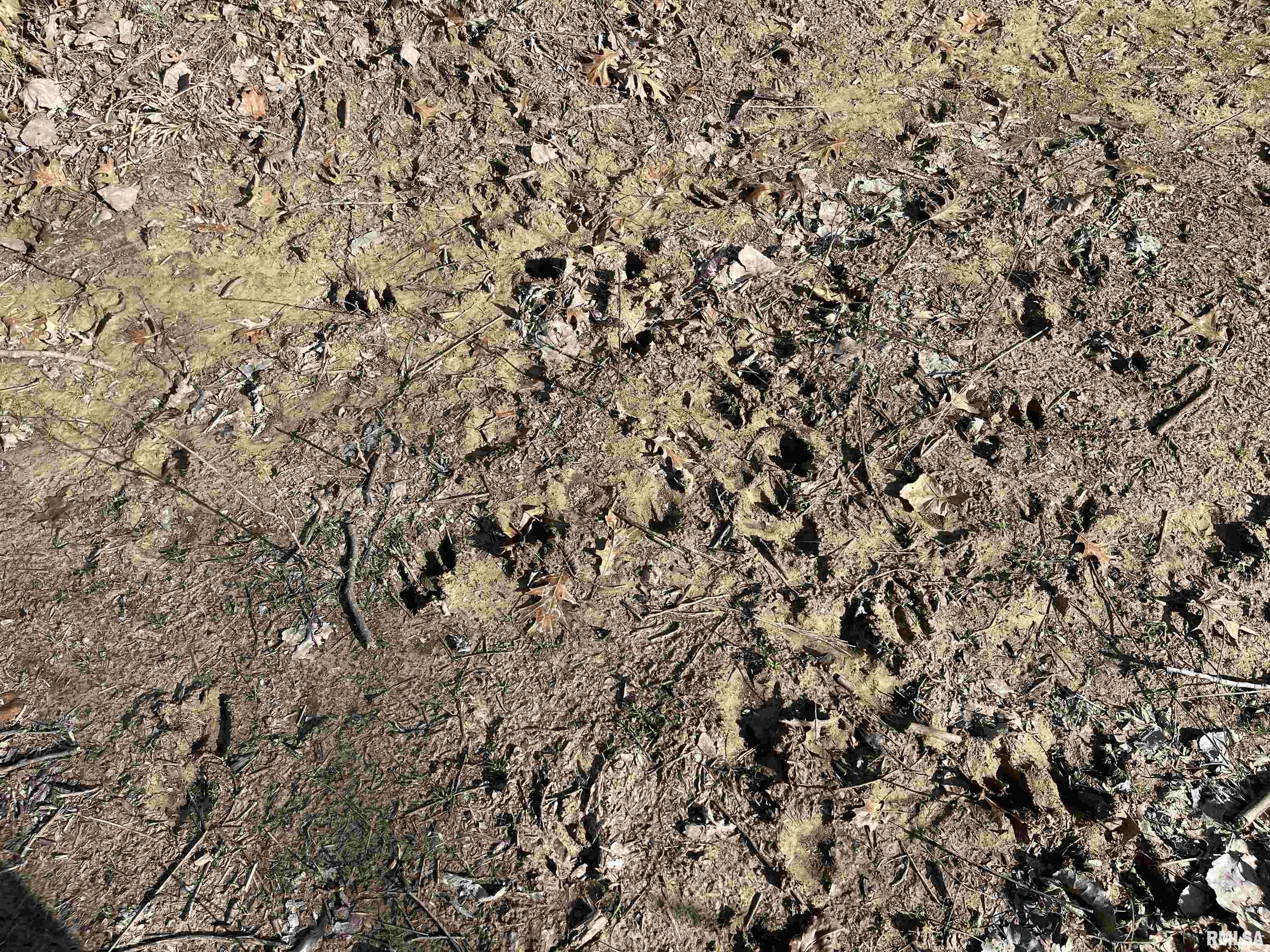 0 2600 E Road Fairfield, IL 62837 - Photo 12 of 18