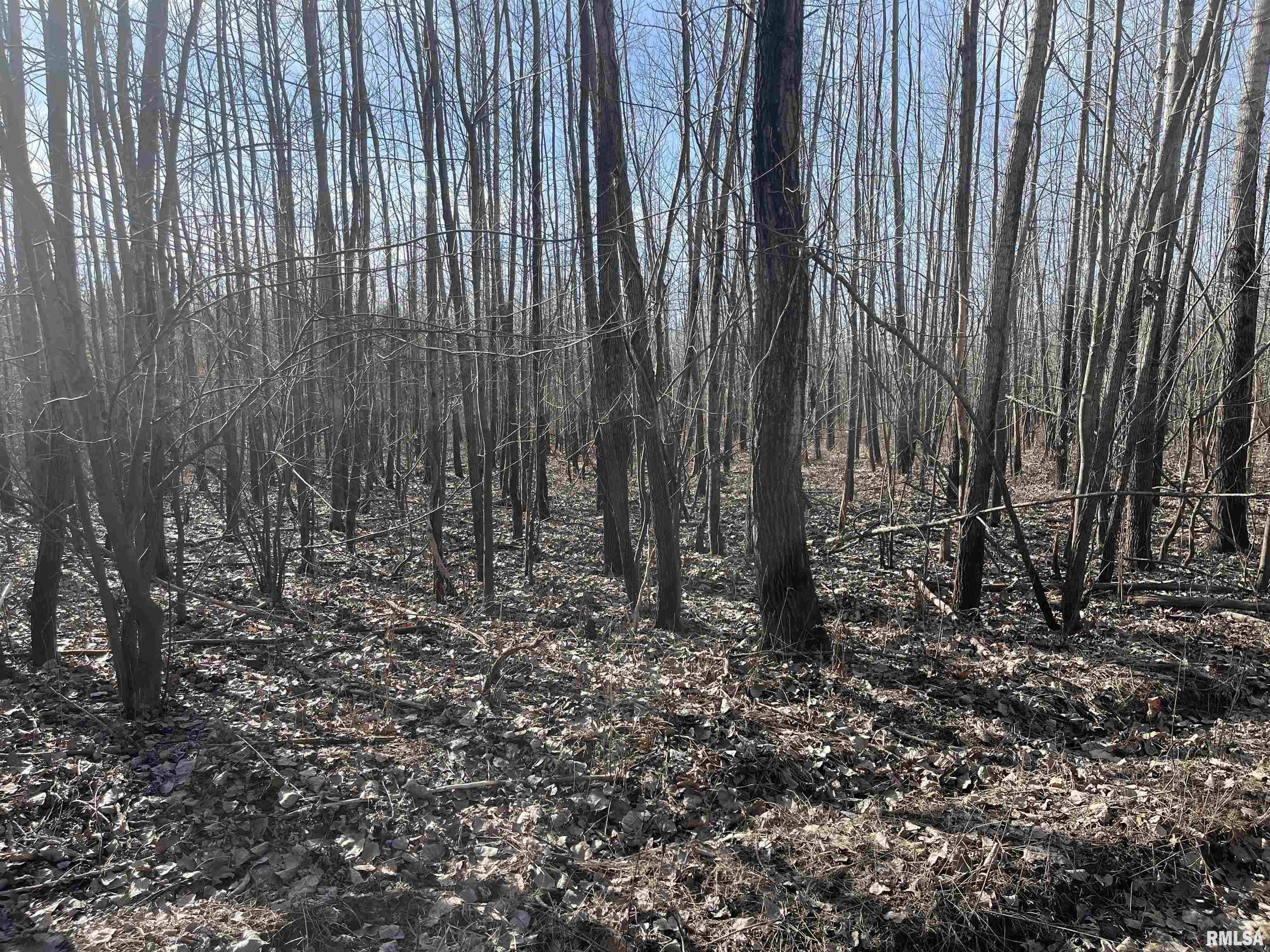 0 2600 E Road Fairfield, IL 62837 - Photo 13 of 18