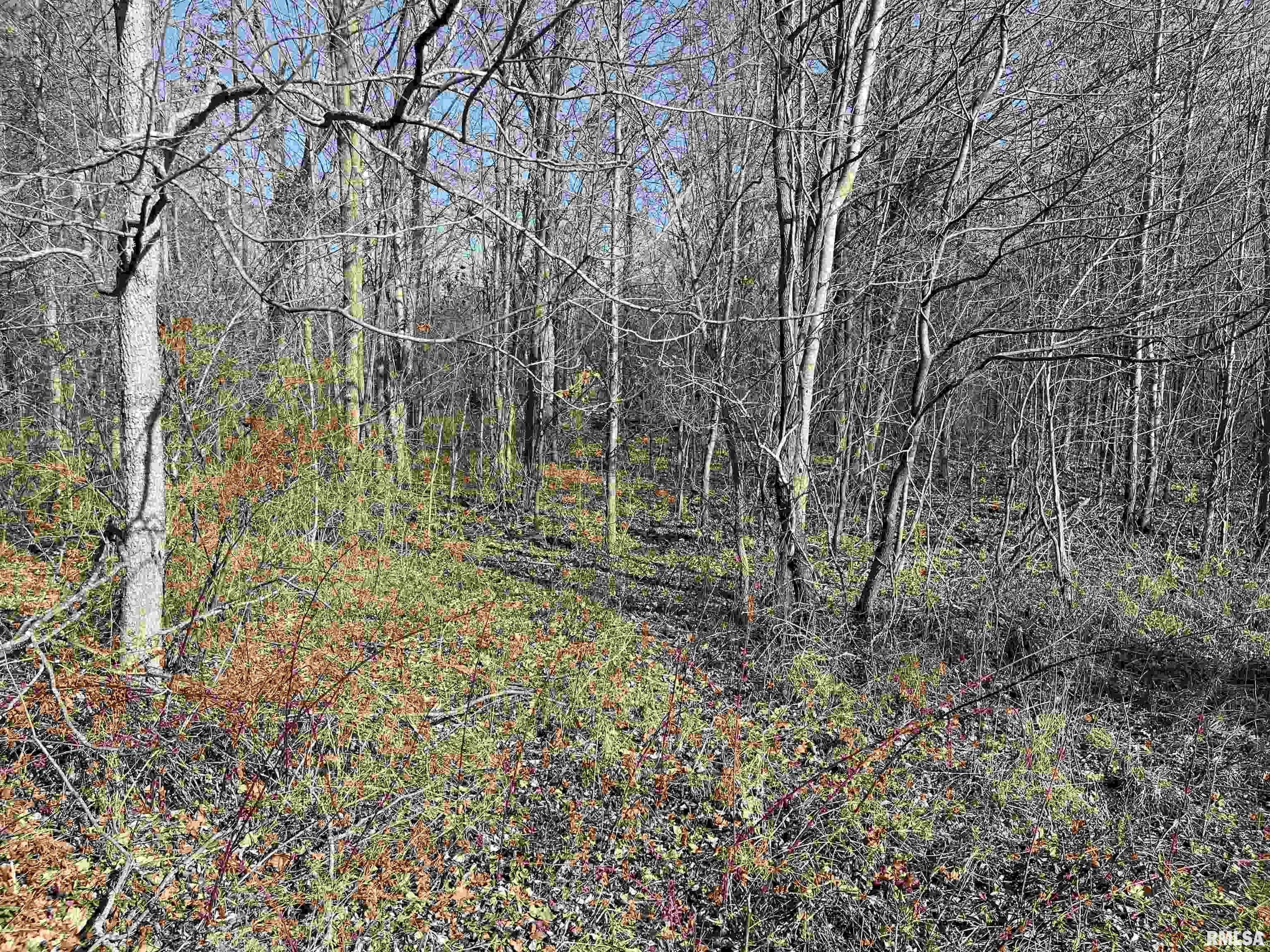 0 2600 E Road Fairfield, IL 62837 - Photo 14 of 18