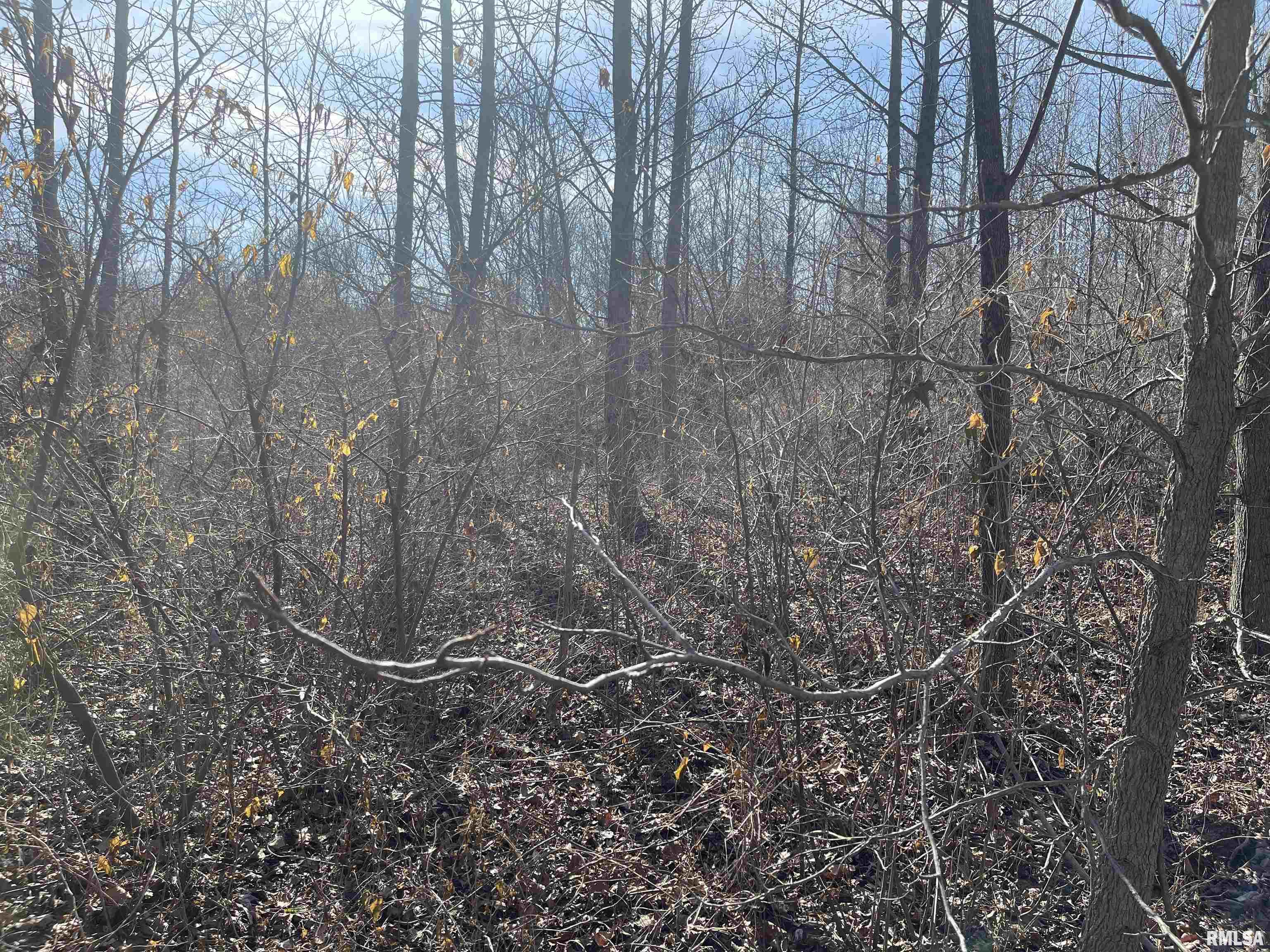 0 2600 E Road Fairfield, IL 62837 - Photo 15 of 18