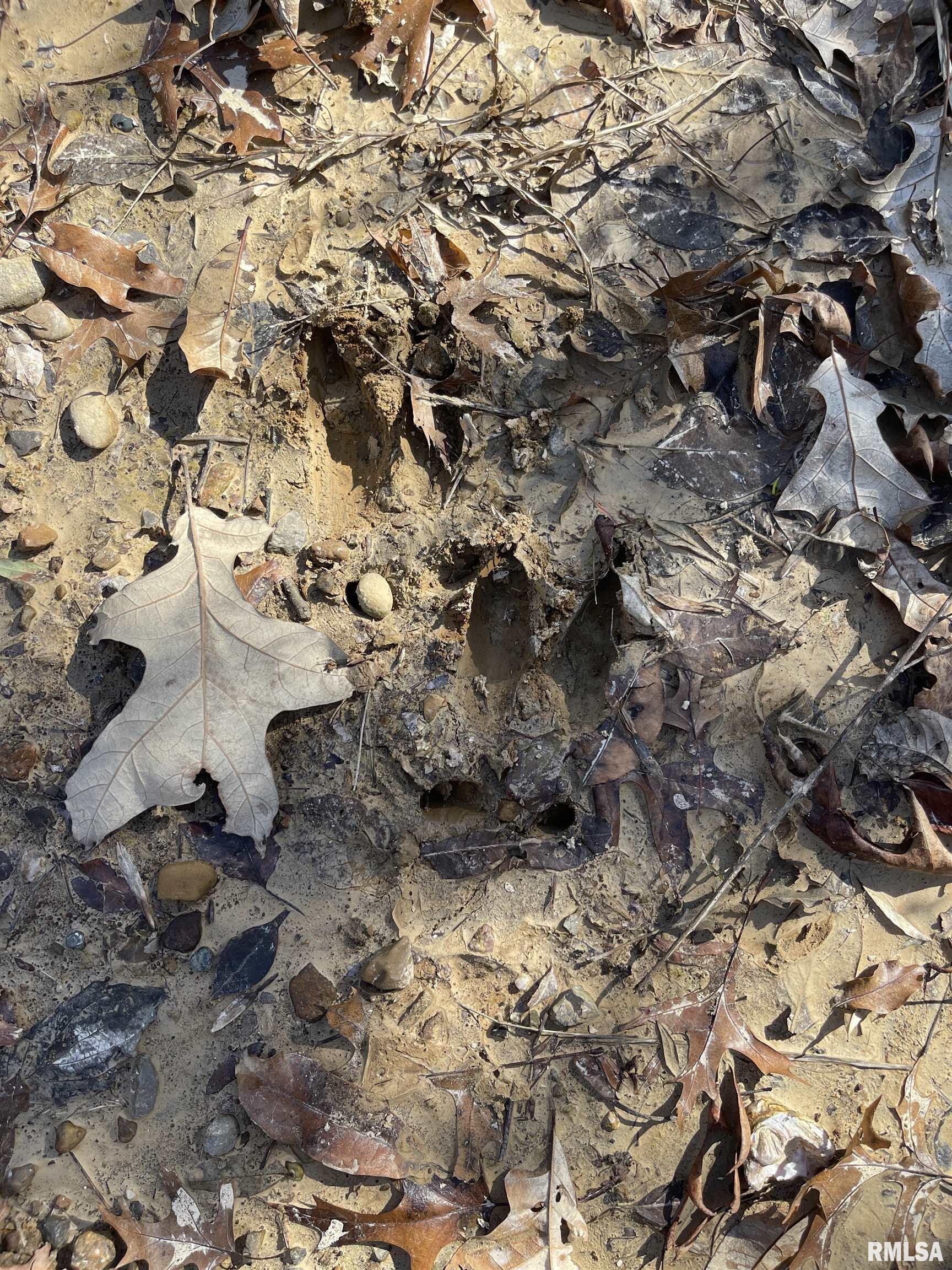 0 2600 E Road Fairfield, IL 62837 - Photo 16 of 18