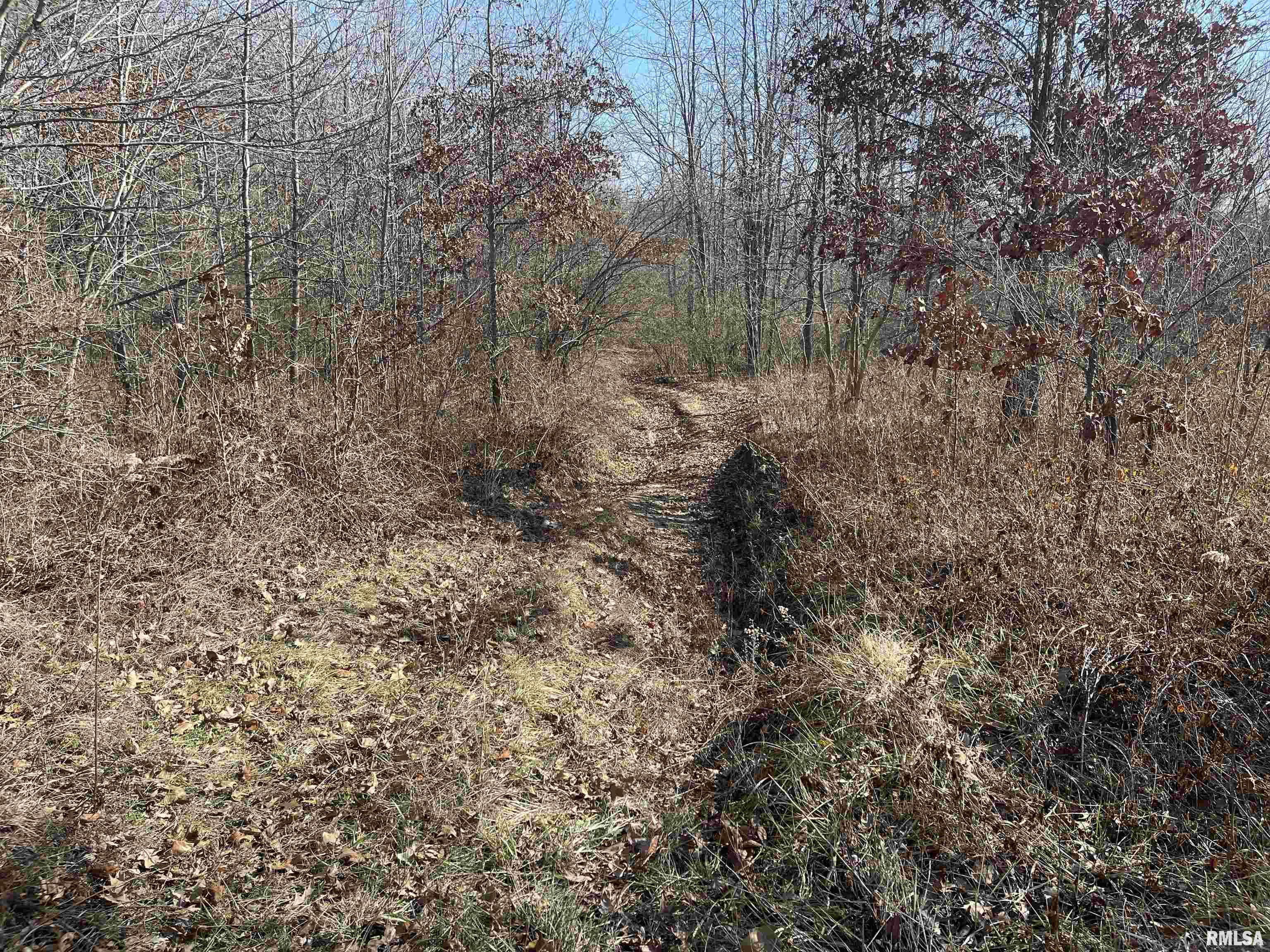 0 2600 E Road Fairfield, IL 62837 - Photo 17 of 18