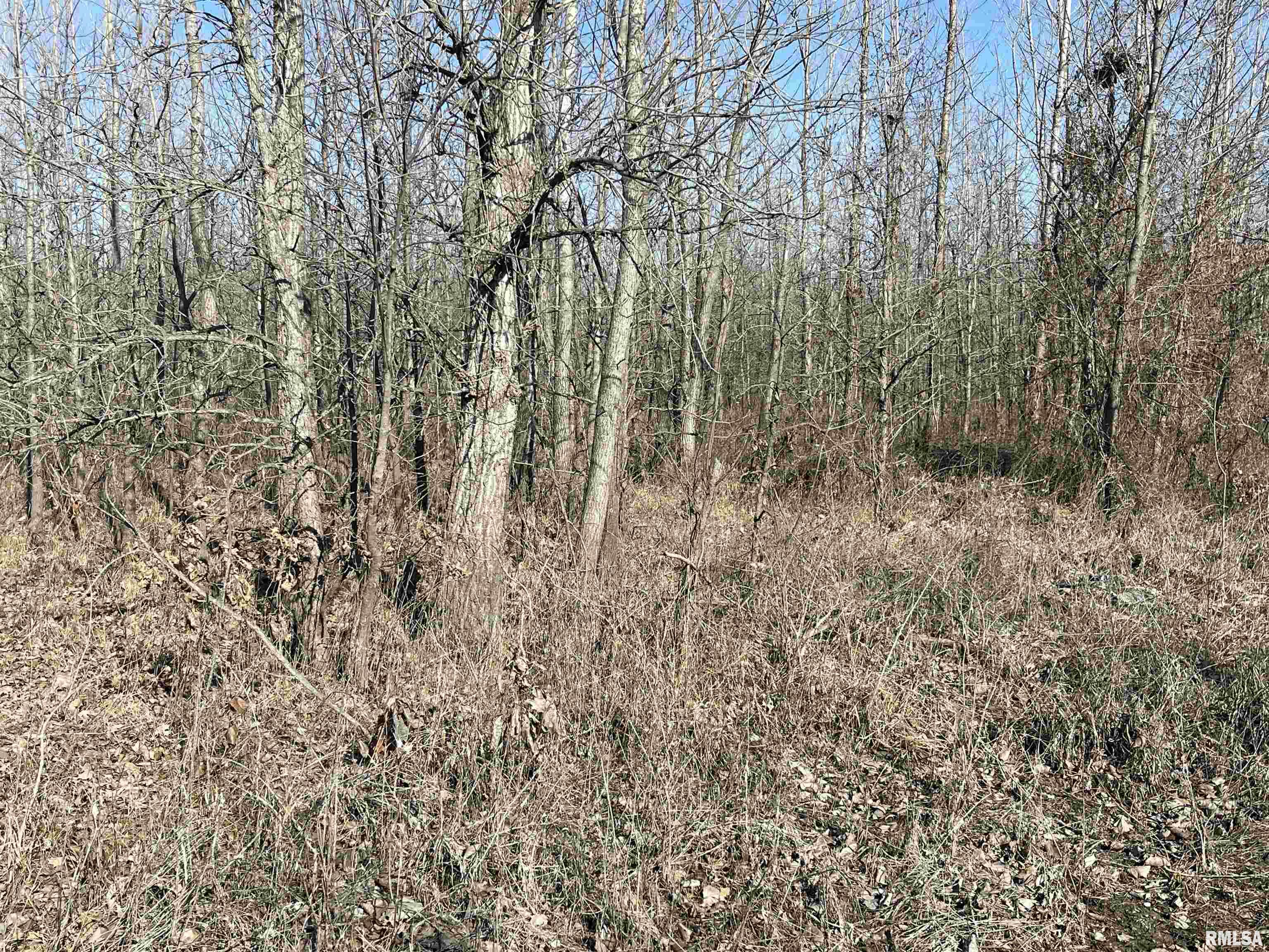 0 2600 E Road Fairfield, IL 62837 - Photo 3 of 18