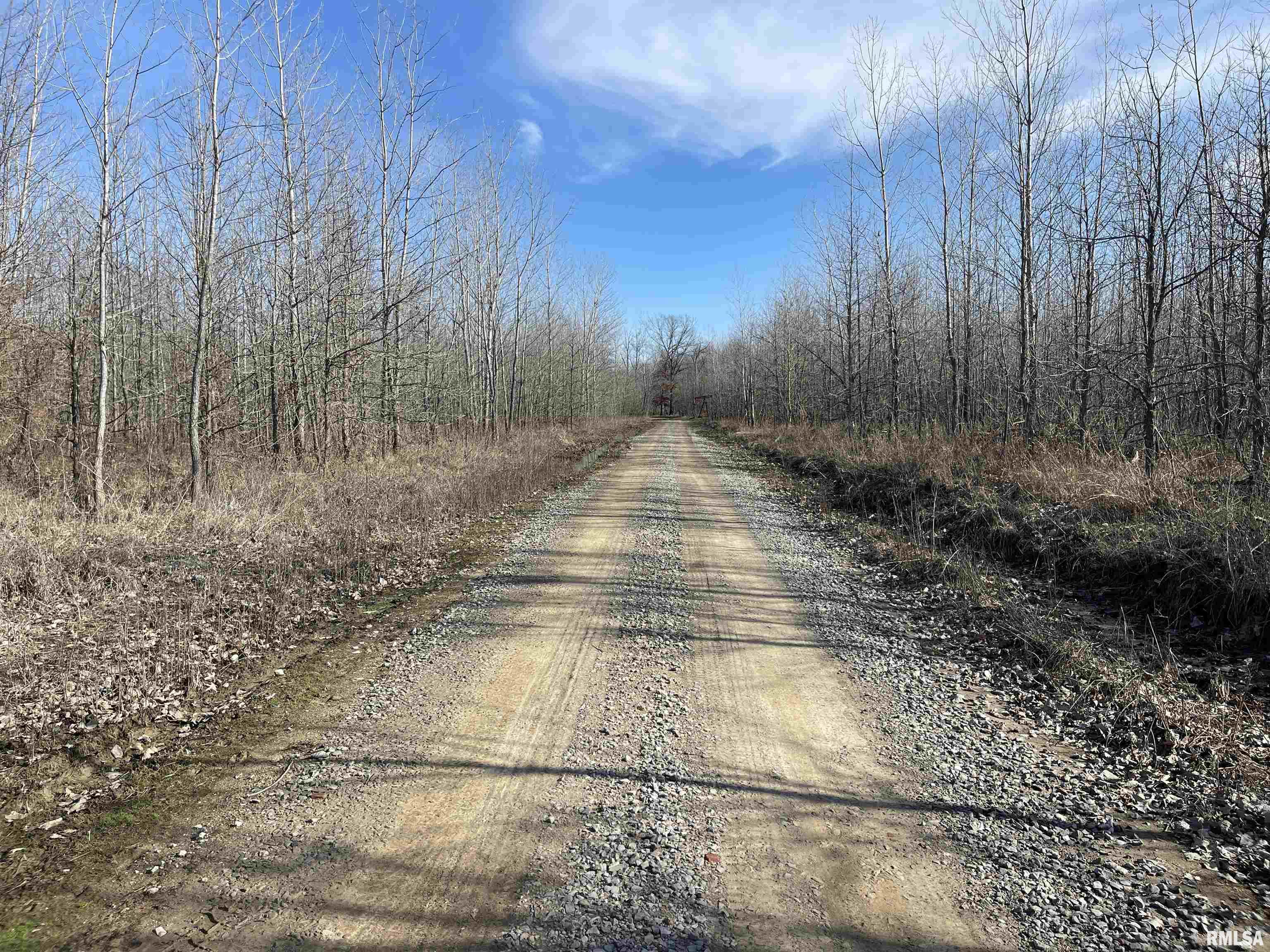 0 2600 E Road Fairfield, IL 62837 - Photo 4 of 18