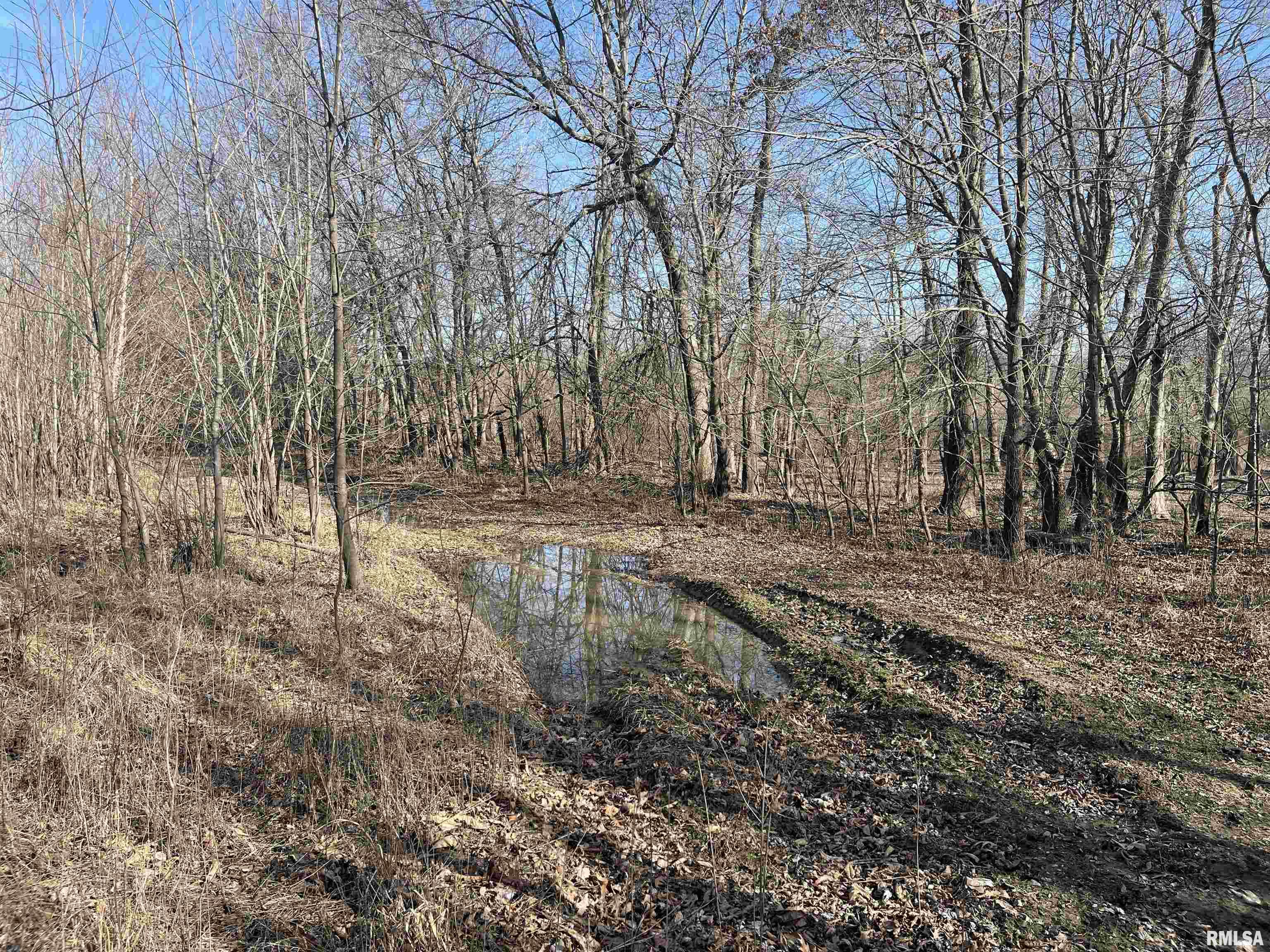 0 2600 E Road Fairfield, IL 62837 - Photo 5 of 18