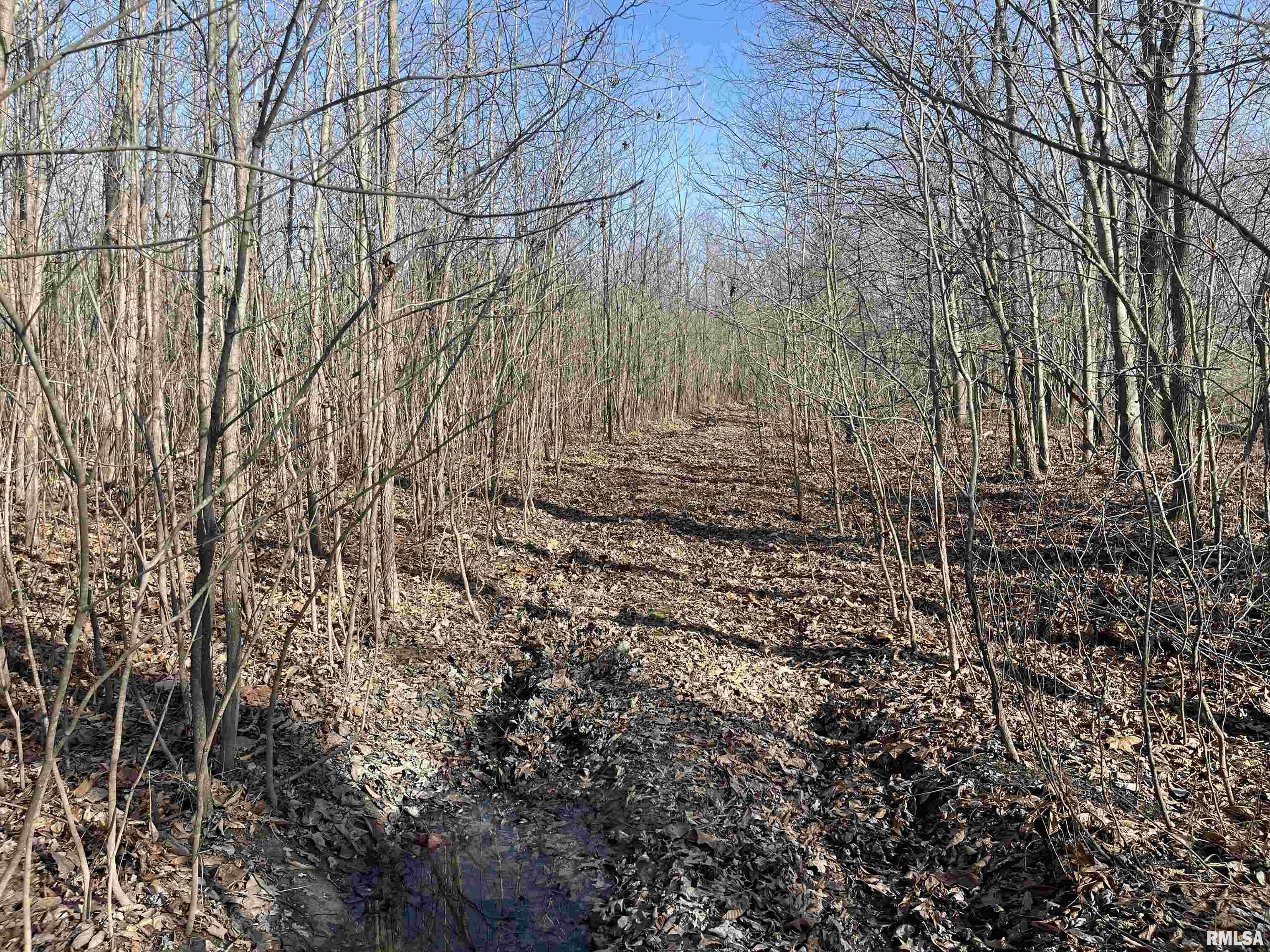 0 2600 E Road Fairfield, IL 62837 - Photo 6 of 18