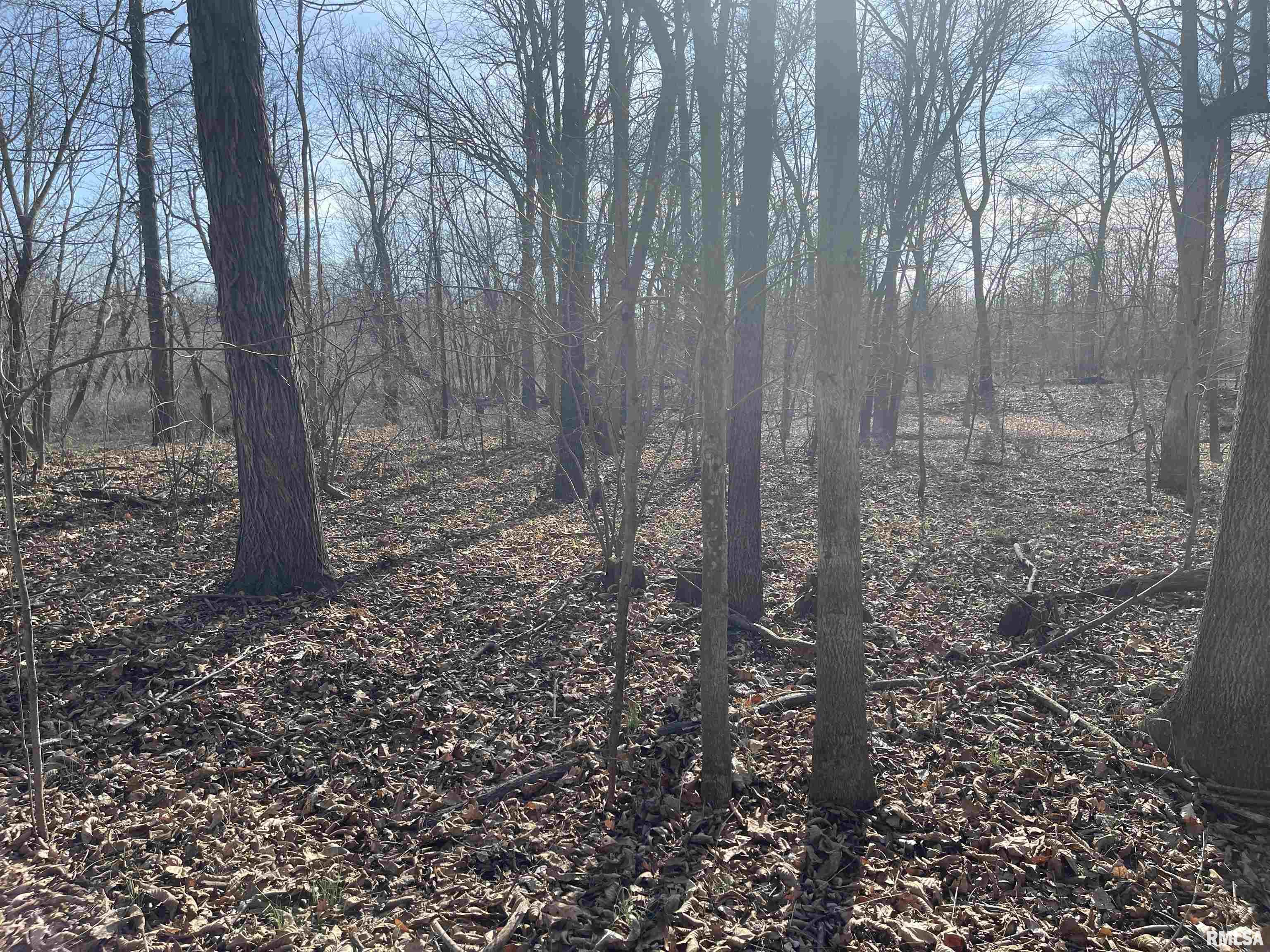 0 2600 E Road Fairfield, IL 62837 - Photo 7 of 18