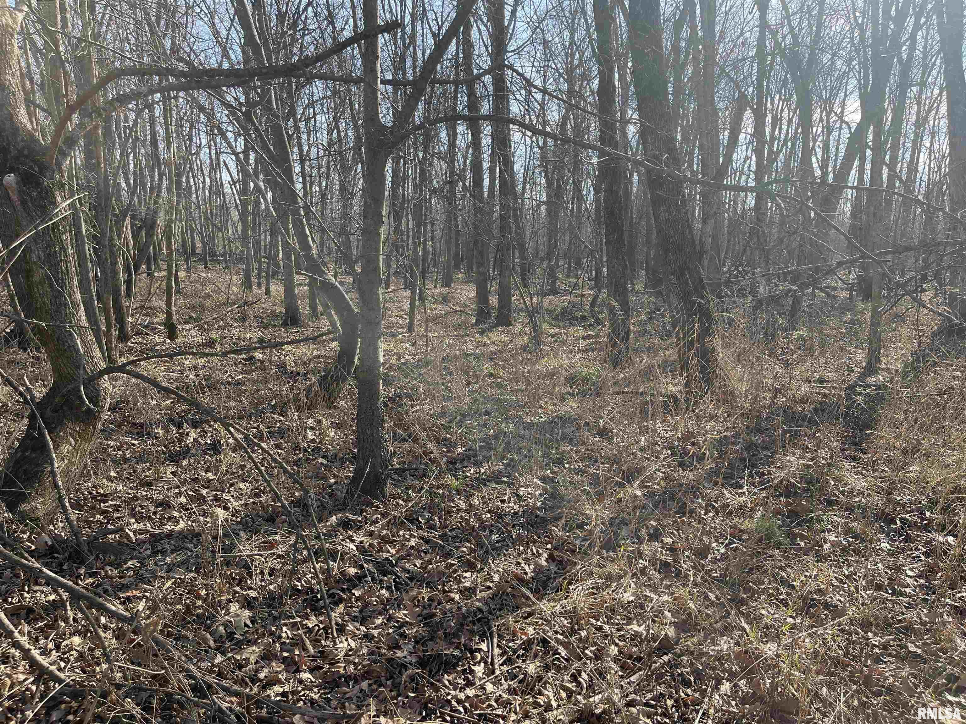 0 2600 E Road Fairfield, IL 62837 - Photo 8 of 18