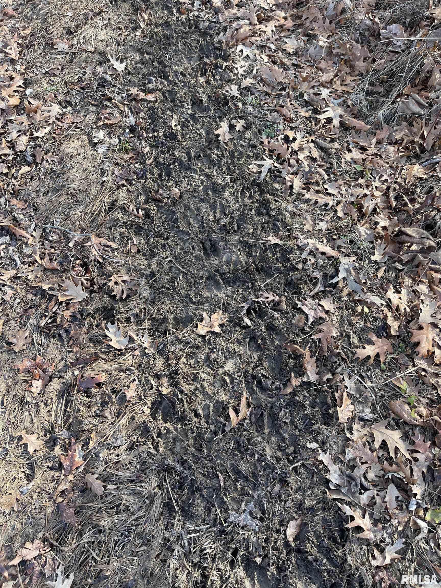 0 2600 E Road Fairfield, IL 62837 - Photo 9 of 18