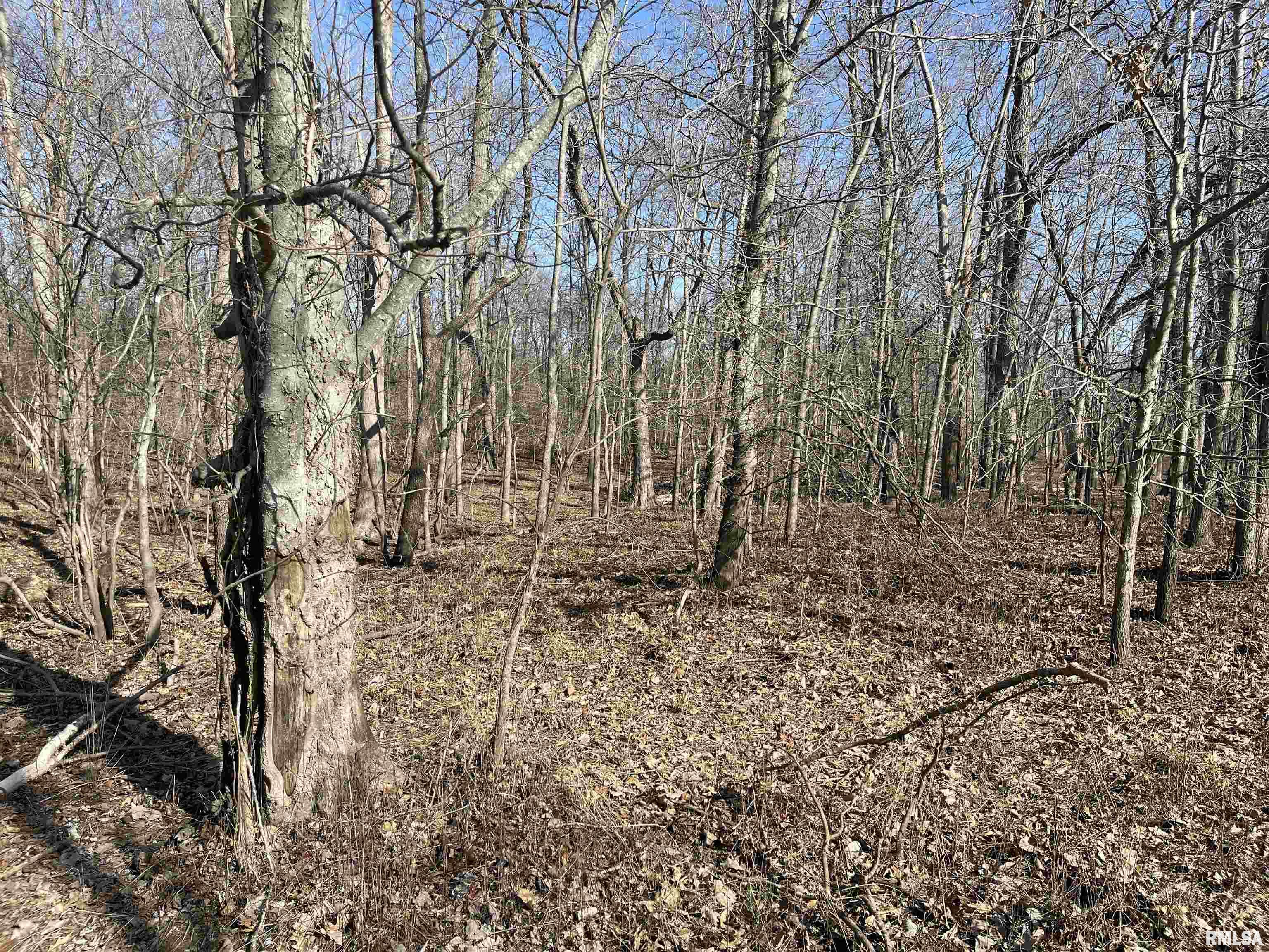 0 2600 E Road Fairfield, IL 62837 - Photo 10 of 18