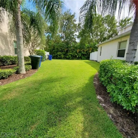 a view of a backyard with plants and large trees