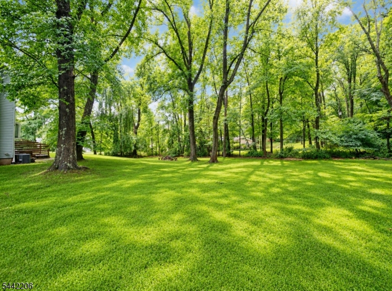 123 Mt Grove Road Califon, NJ 07830 - Photo 33 of 33