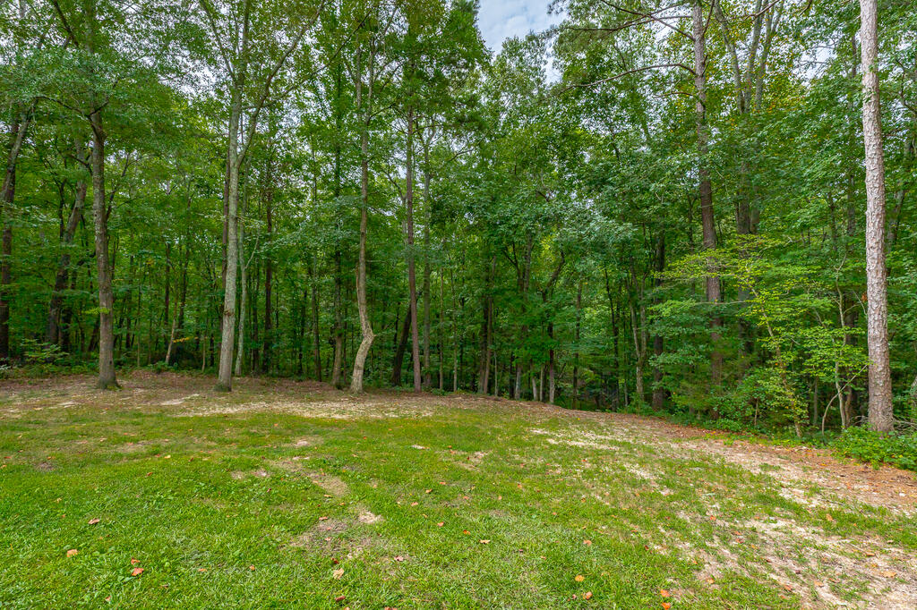 469 Round Pond Road LaFayette, GA 30728 - Photo 95 of 103 Gallery Image 95