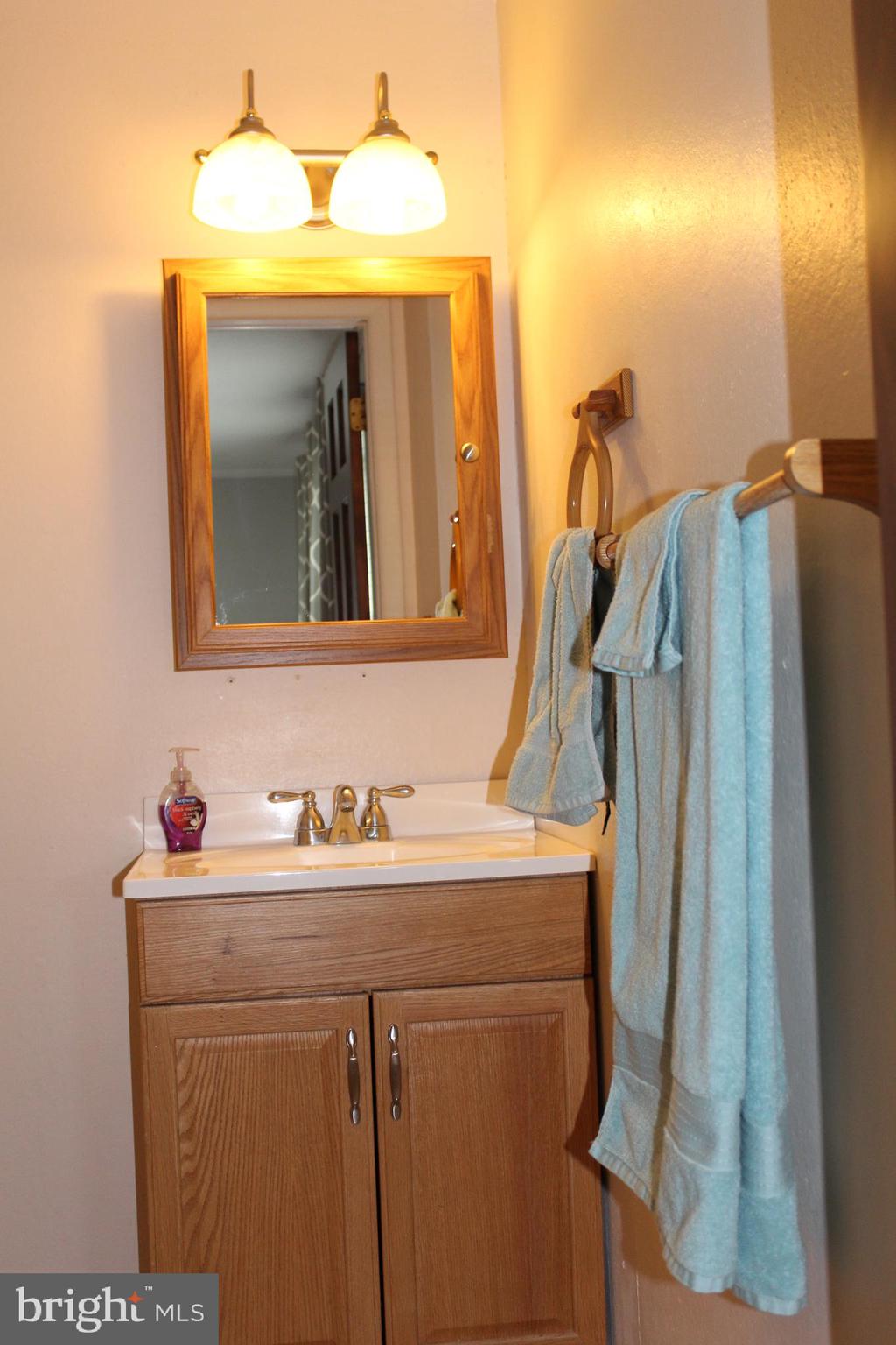 1420 Harney Road Littlestown, PA 17340 - Photo 28 of 91 Master bath