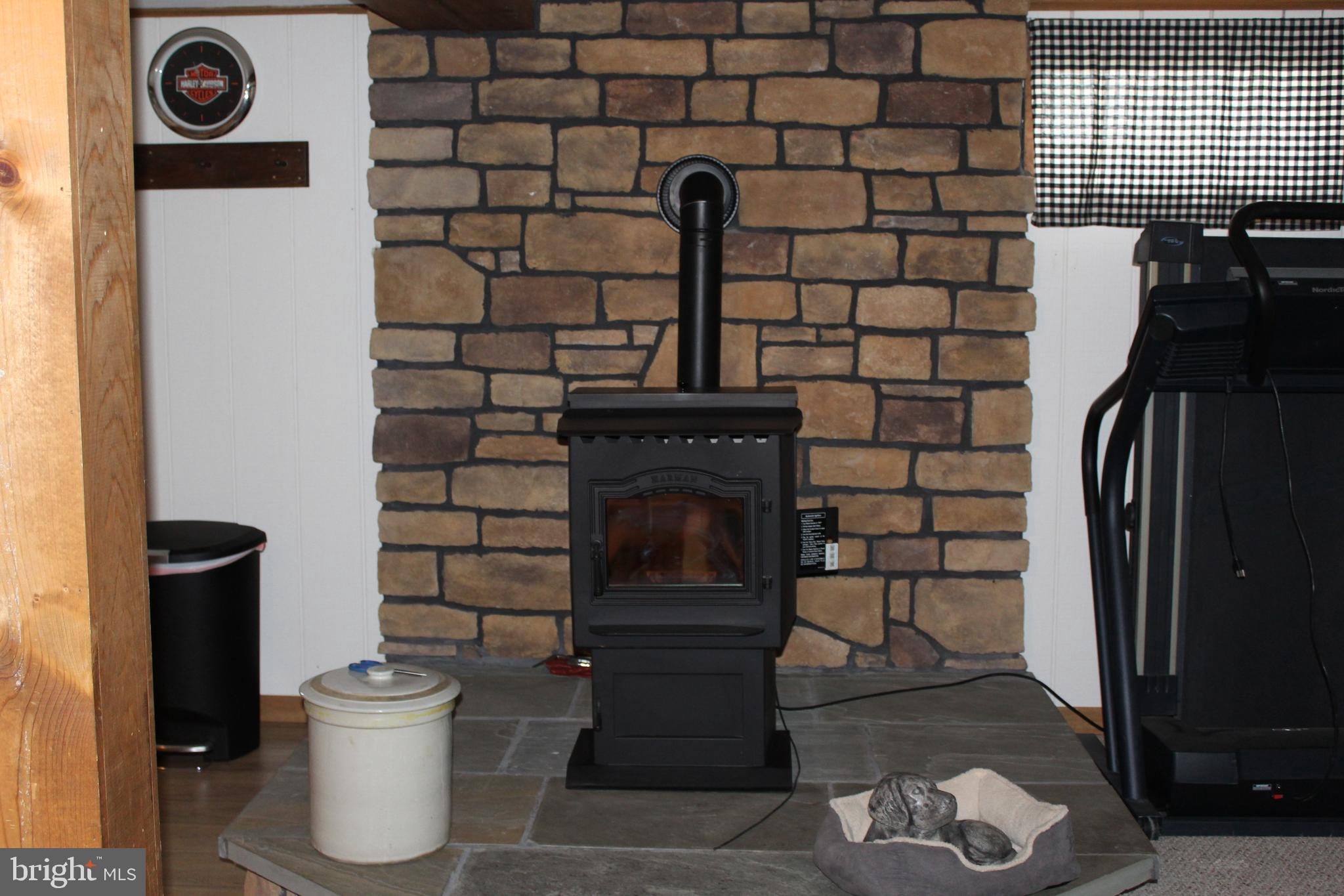 1420 Harney Road Littlestown, PA 17340 - Photo 35 of 91 Lower level rec room w/ pellet stove