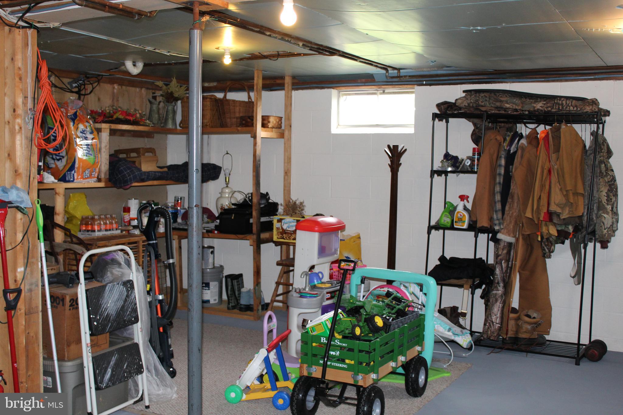 1420 Harney Road Littlestown, PA 17340 - Photo 39 of 91 Lower level storage area