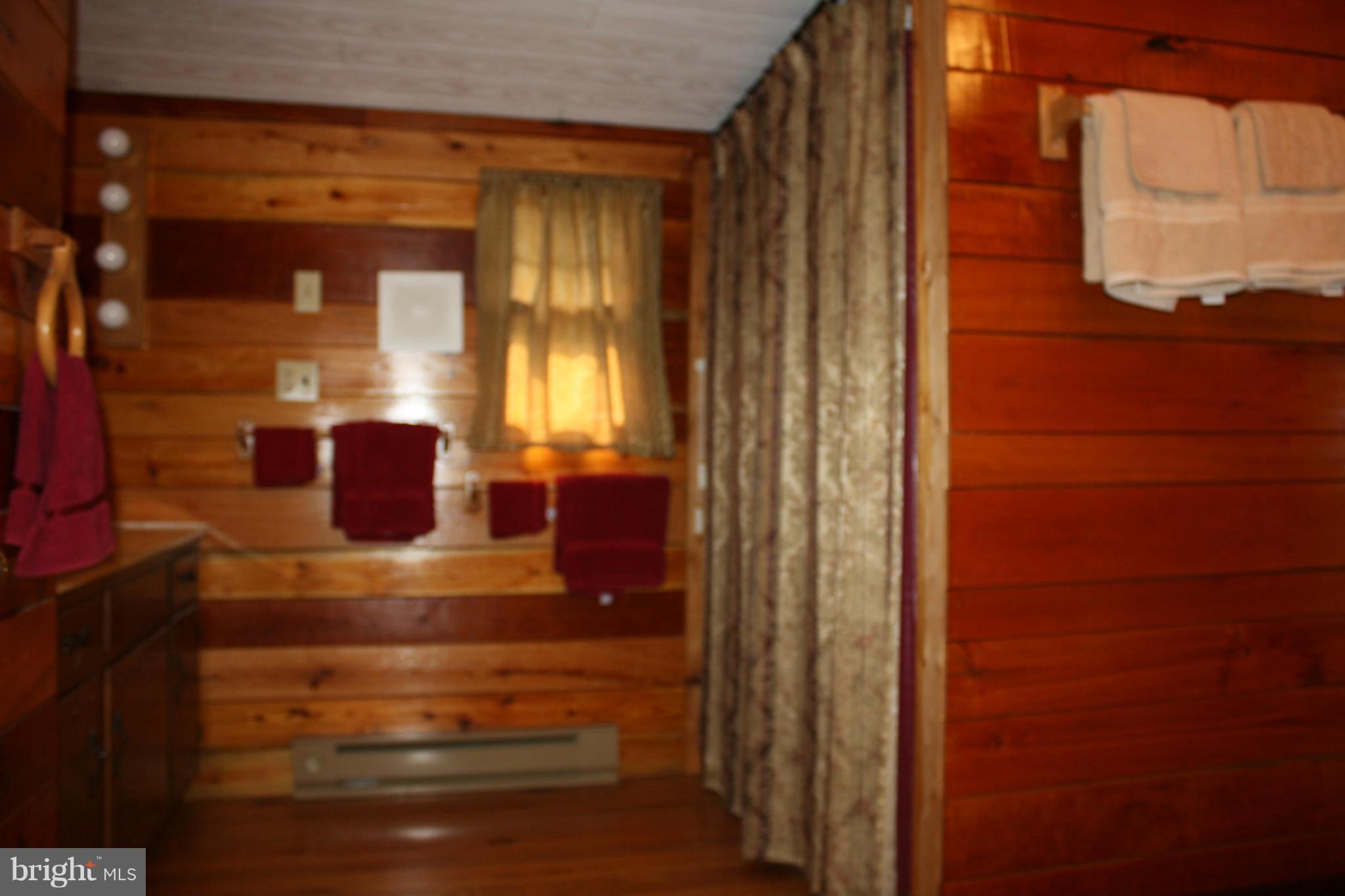6603 Virginia Line Road Berkeley Springs, WV 25411 - Photo 17 of 20 Interior (General)