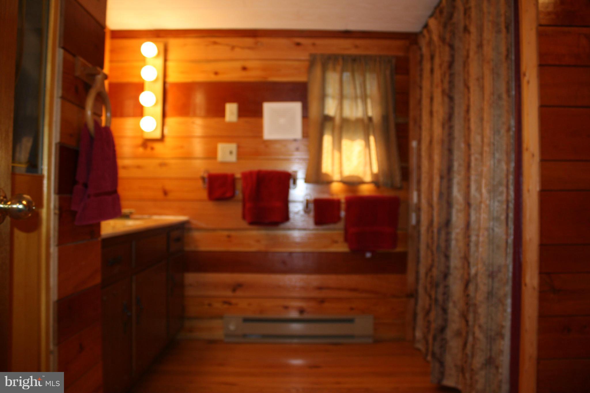6603 Virginia Line Road Berkeley Springs, WV 25411 - Photo 18 of 20 Interior (General)