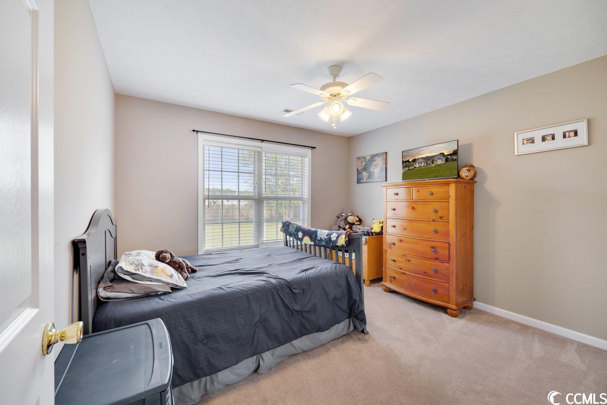 106 Hampton Ridge Road Conway, SC 29527 - Photo 24 of 34 Gallery Image 24
