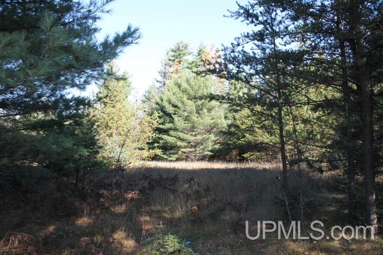 Tbd Missouri Rd - Co Rd 565, Unit LAT 46 31633 LON 87 5822 Gwinn, MI 49841 - Photo 6 of 30