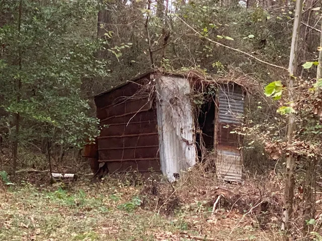 a view of a house with a tree