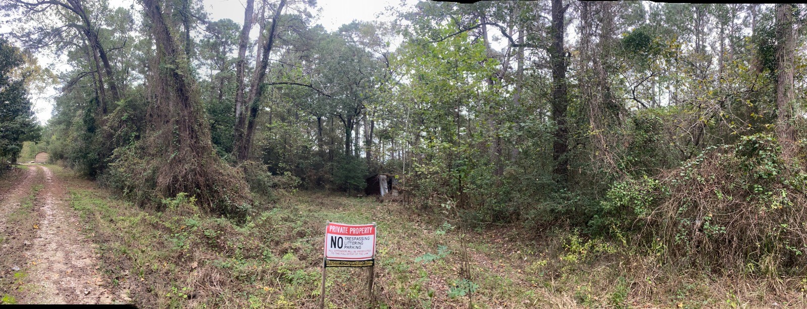 Tbd Tbd Sandy Ln Point Oakhurst, TX 77359 - Photo 5 of 12 a view of a street with a tree