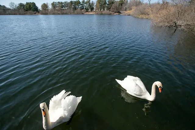 $3,400 | 1 Leland Point Drive, Portsmouth, RI 02871