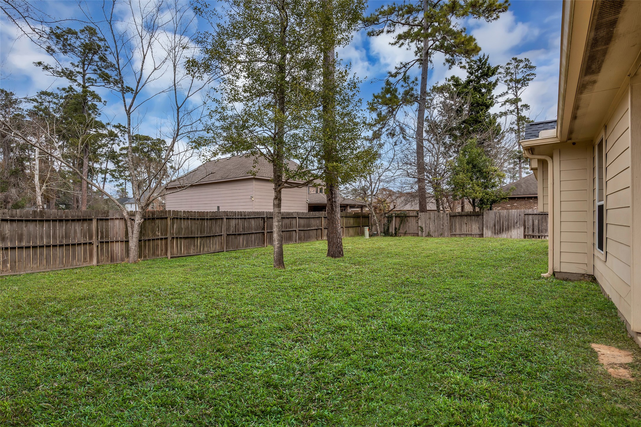 629 Spring Forest Drive Conroe, TX 77302 - Photo 28 of 38 a view of a backyard with large trees