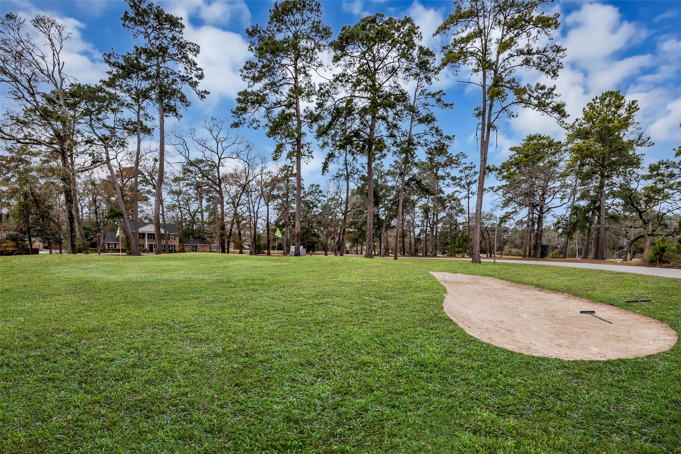 629 Spring Forest Drive Conroe, TX 77302 - Photo 34 of 38 a view of field with tall trees