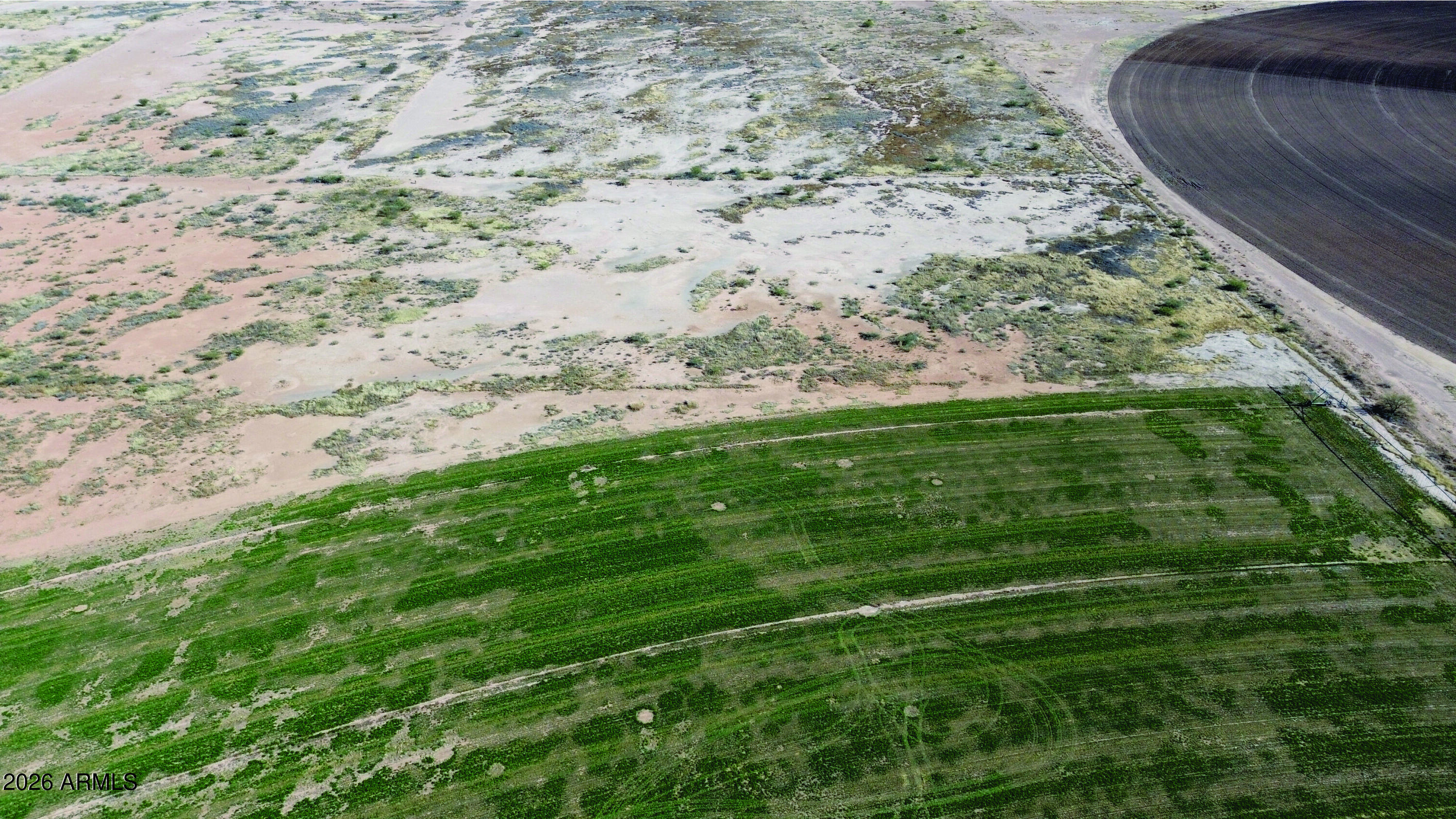 4.77-ac Thompson Road, Unit C Elfrida, AZ 85610 - Photo 12 of 34 a view of a yard with an outdoor space