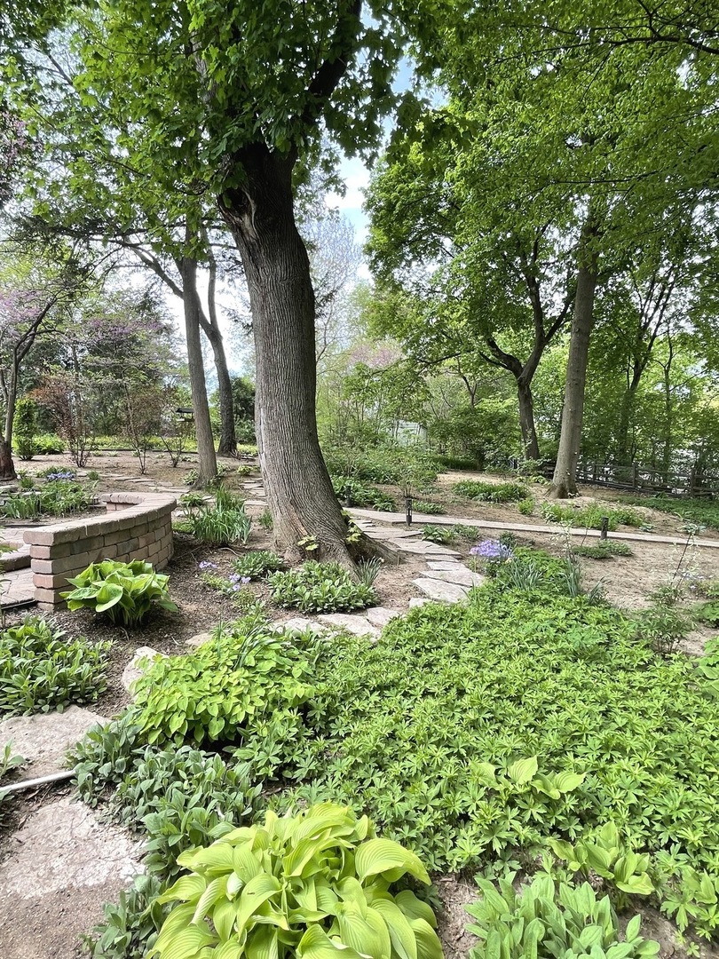 110 Stuarton Drive Wheaton, IL 60189 - Photo 23 of 30 a view of backyard with tree