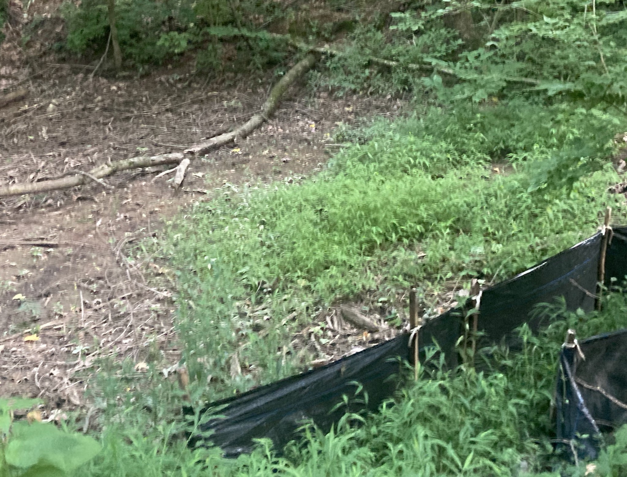 1225 Hidden Valley Road Franklin, TN 37069 - Photo 11 of 21