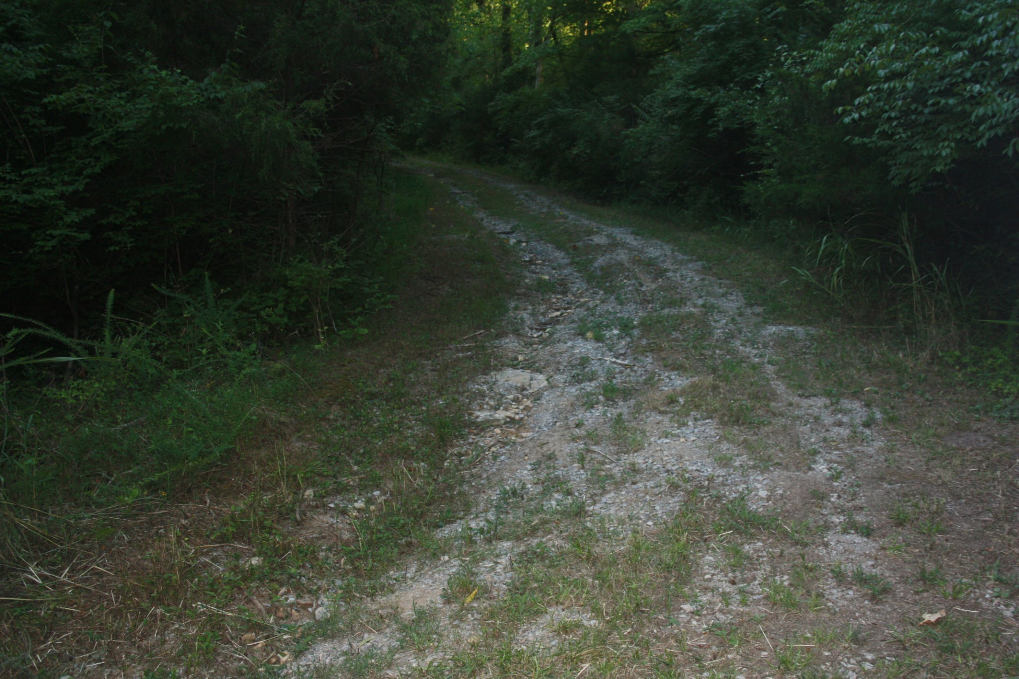 1225 Hidden Valley Road Franklin, TN 37069 - Photo 13 of 21