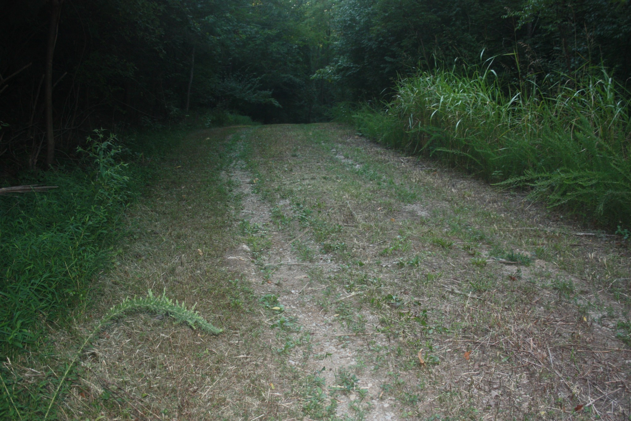 1225 Hidden Valley Road Franklin, TN 37069 - Photo 14 of 21