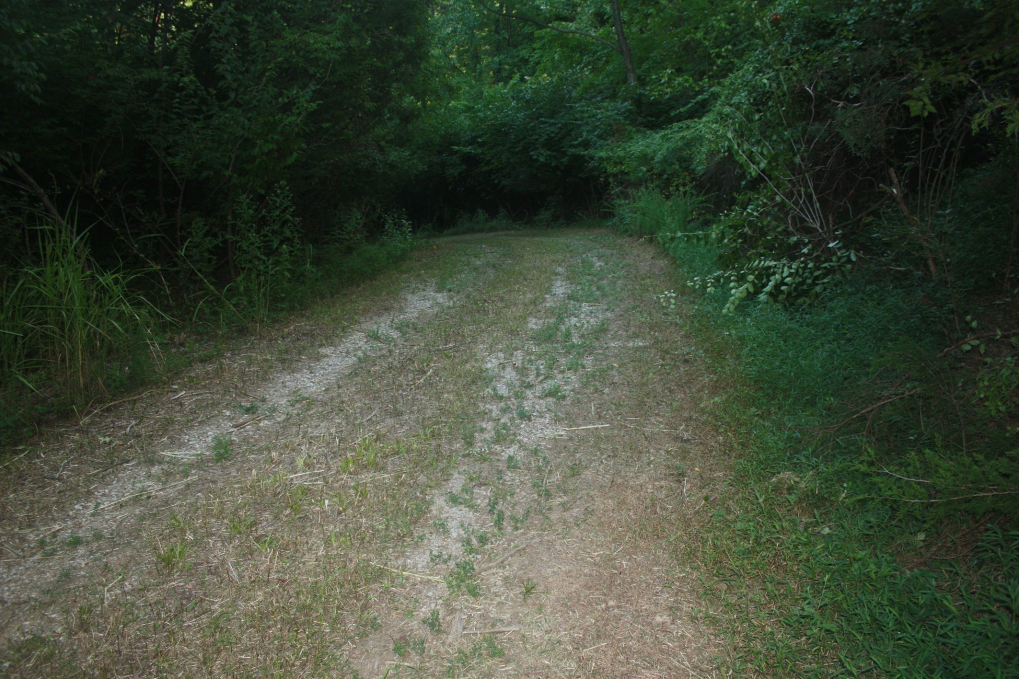 1225 Hidden Valley Road Franklin, TN 37069 - Photo 15 of 21